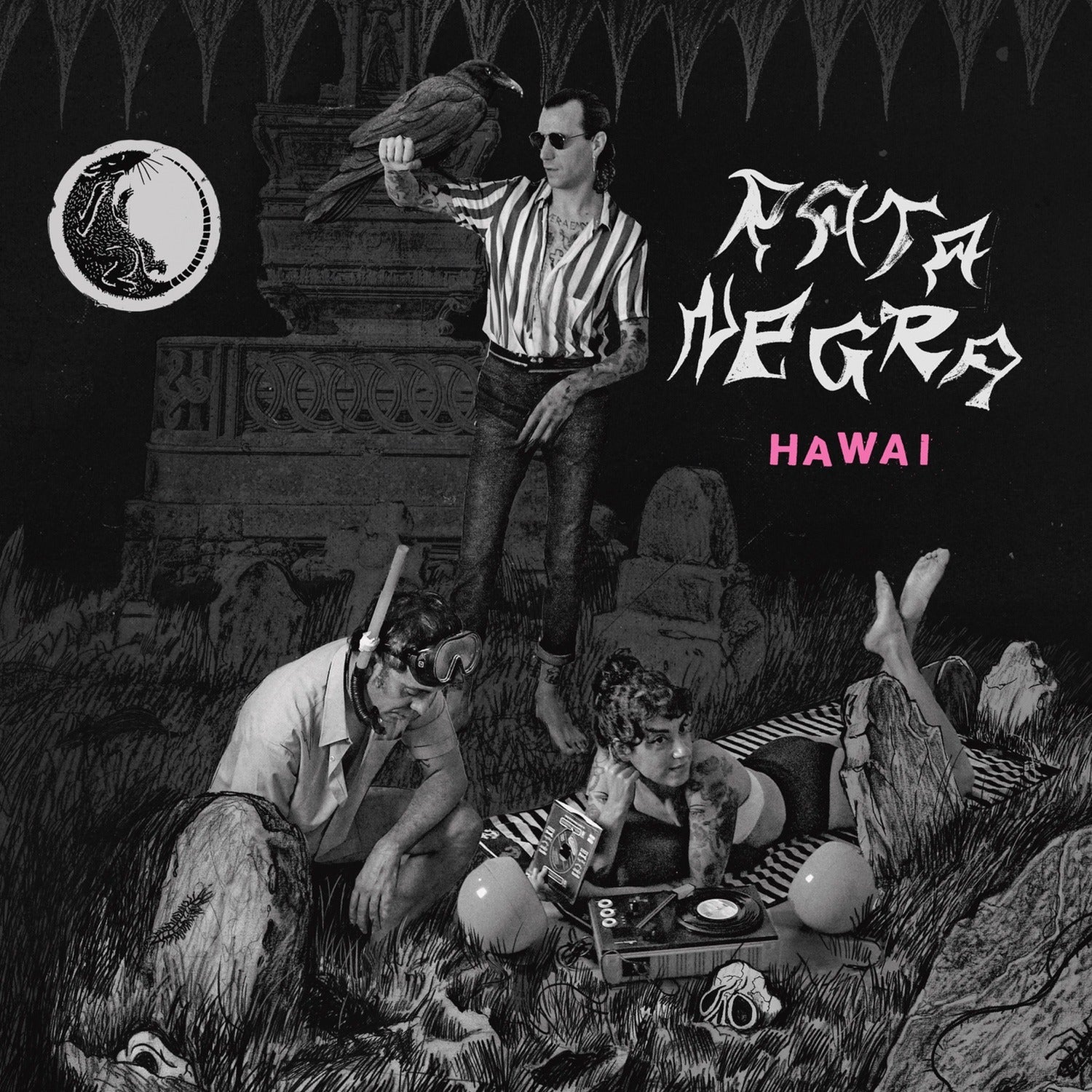 Rata Negra - Hawai