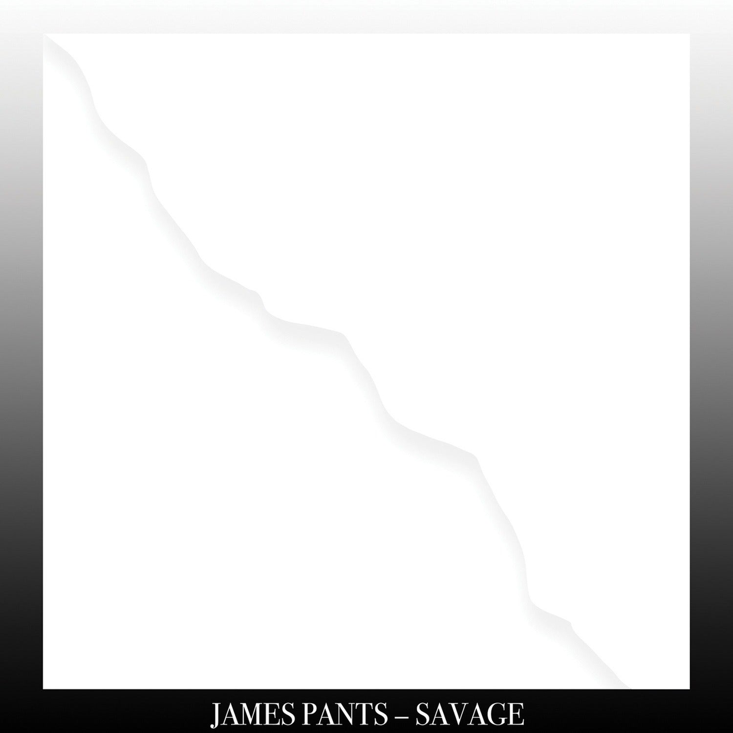 James Pants - Savage