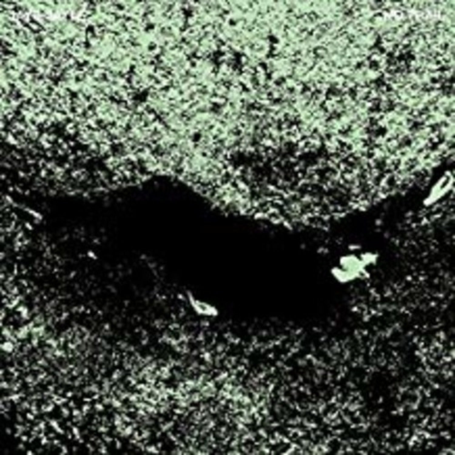 Jaye Jayle - No Trail & Other Unholy Paths (CD)