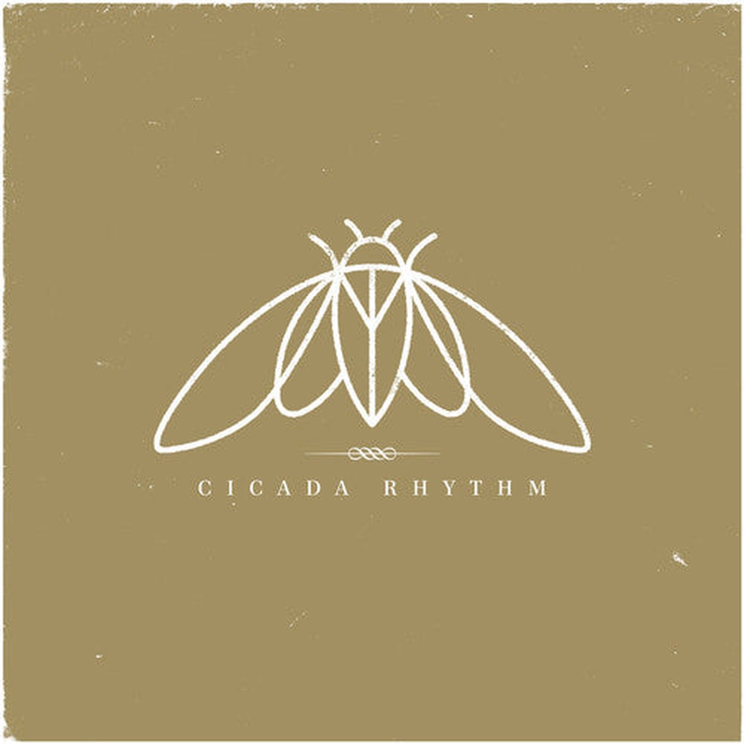 Cicada Rhythm