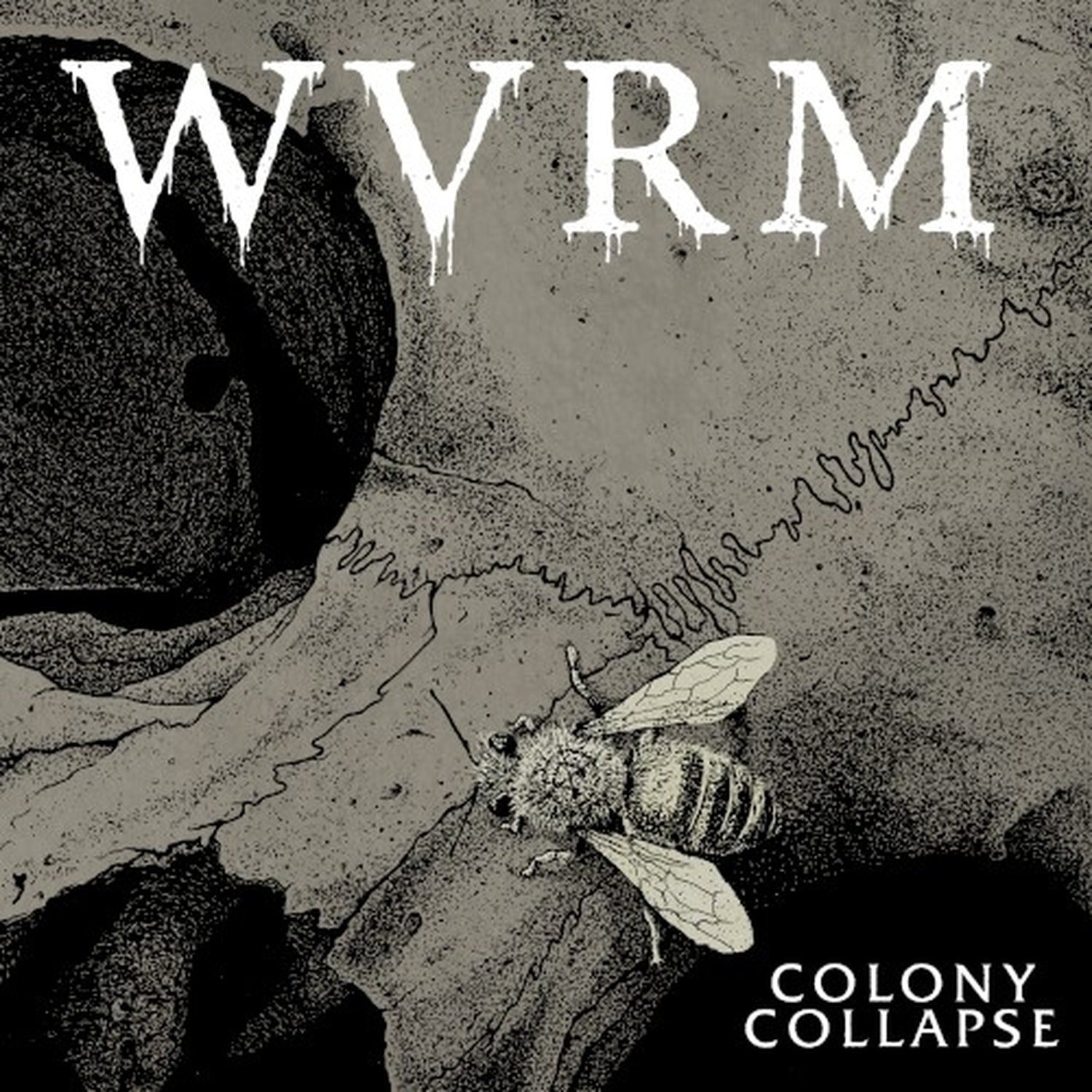 WVRM - Colony Collapse