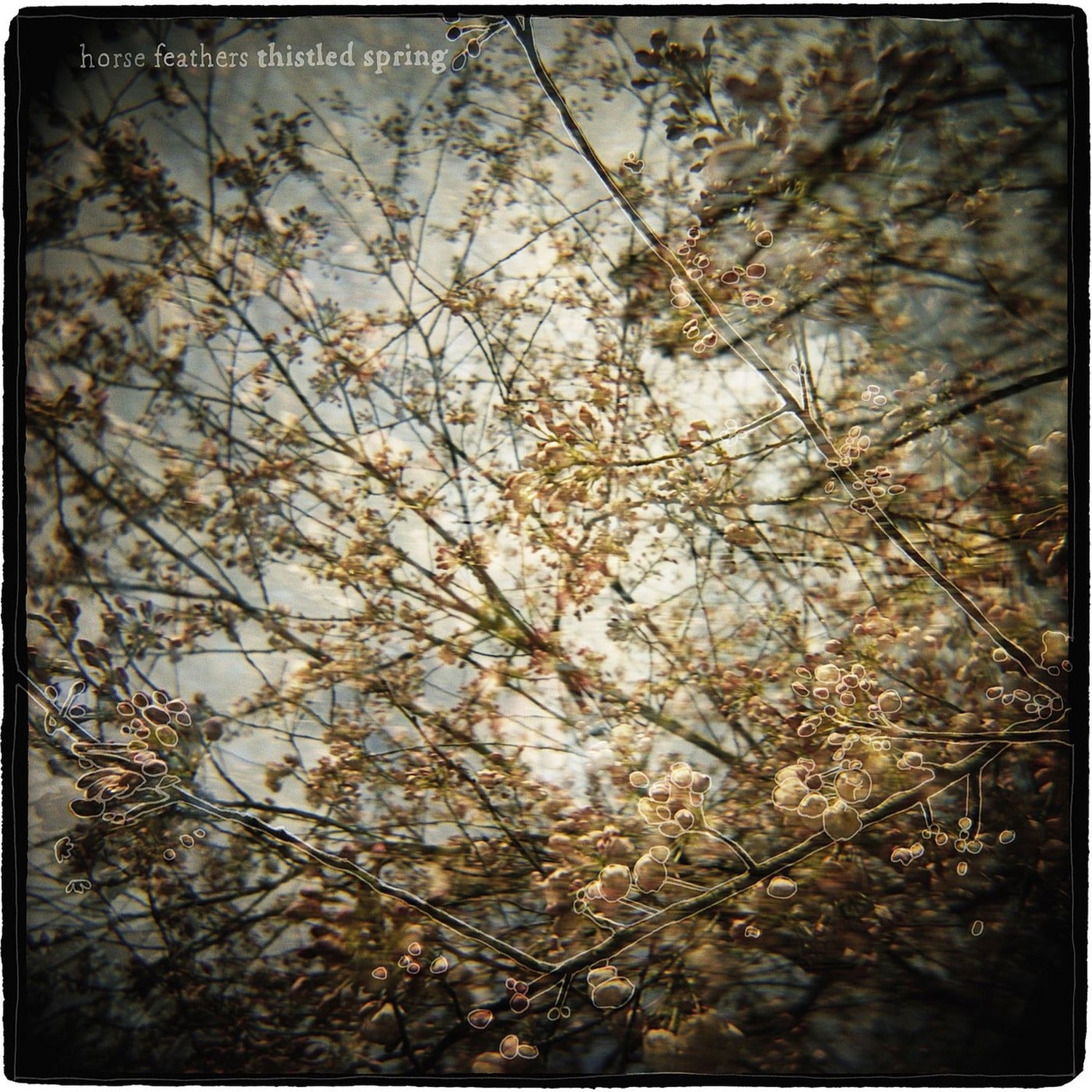 Horse Feathers - Thistled Spring (CD)