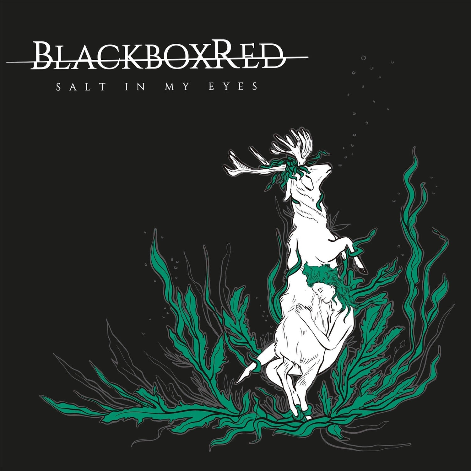 Blackboxred - Salt In My Eyes (CD)