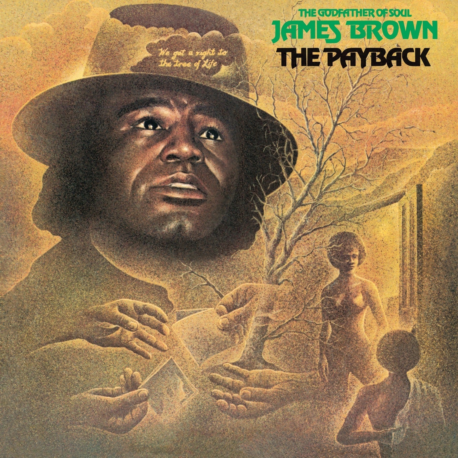 James Brown - Payback 2xLP