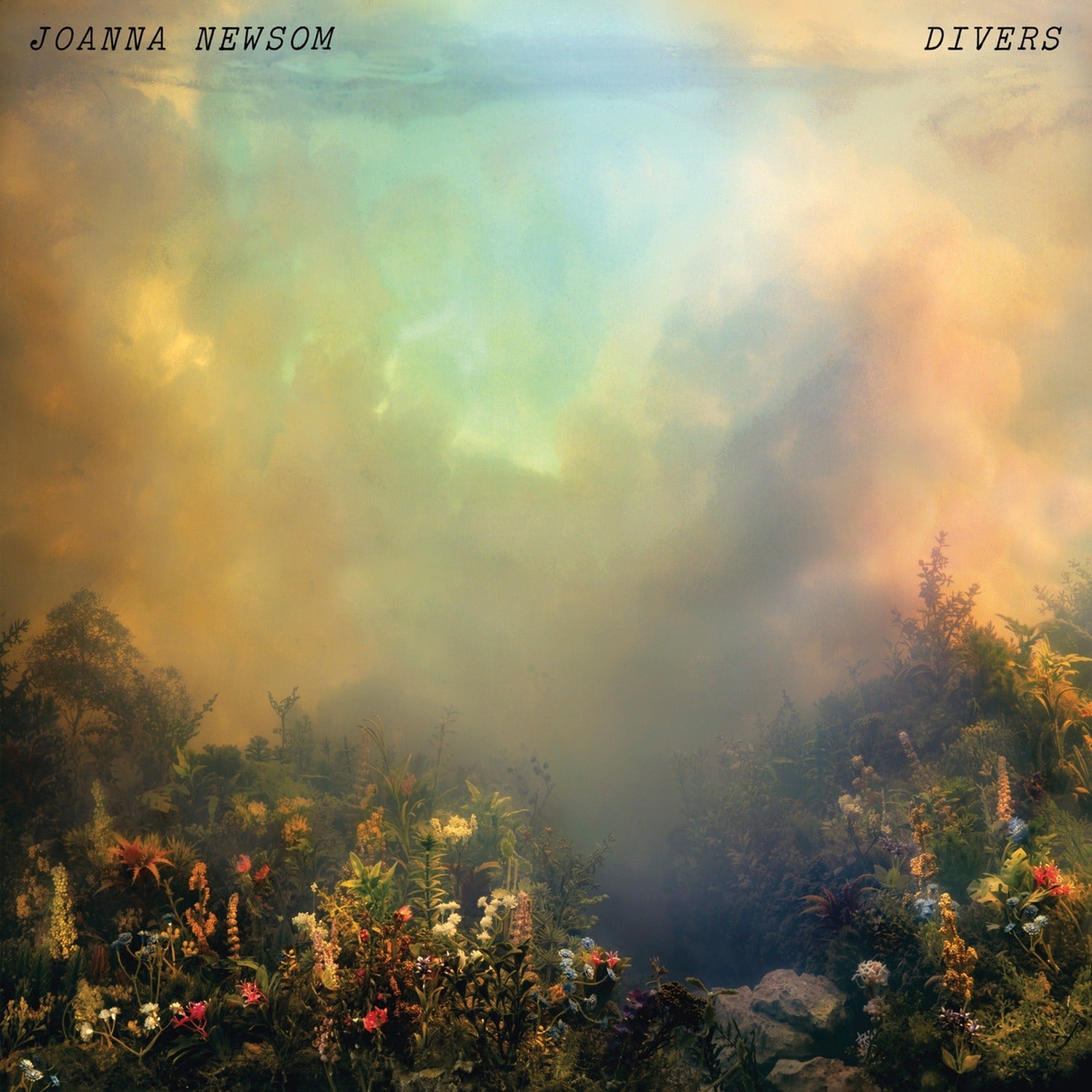 Joanna Newsom - Divers 2xLP