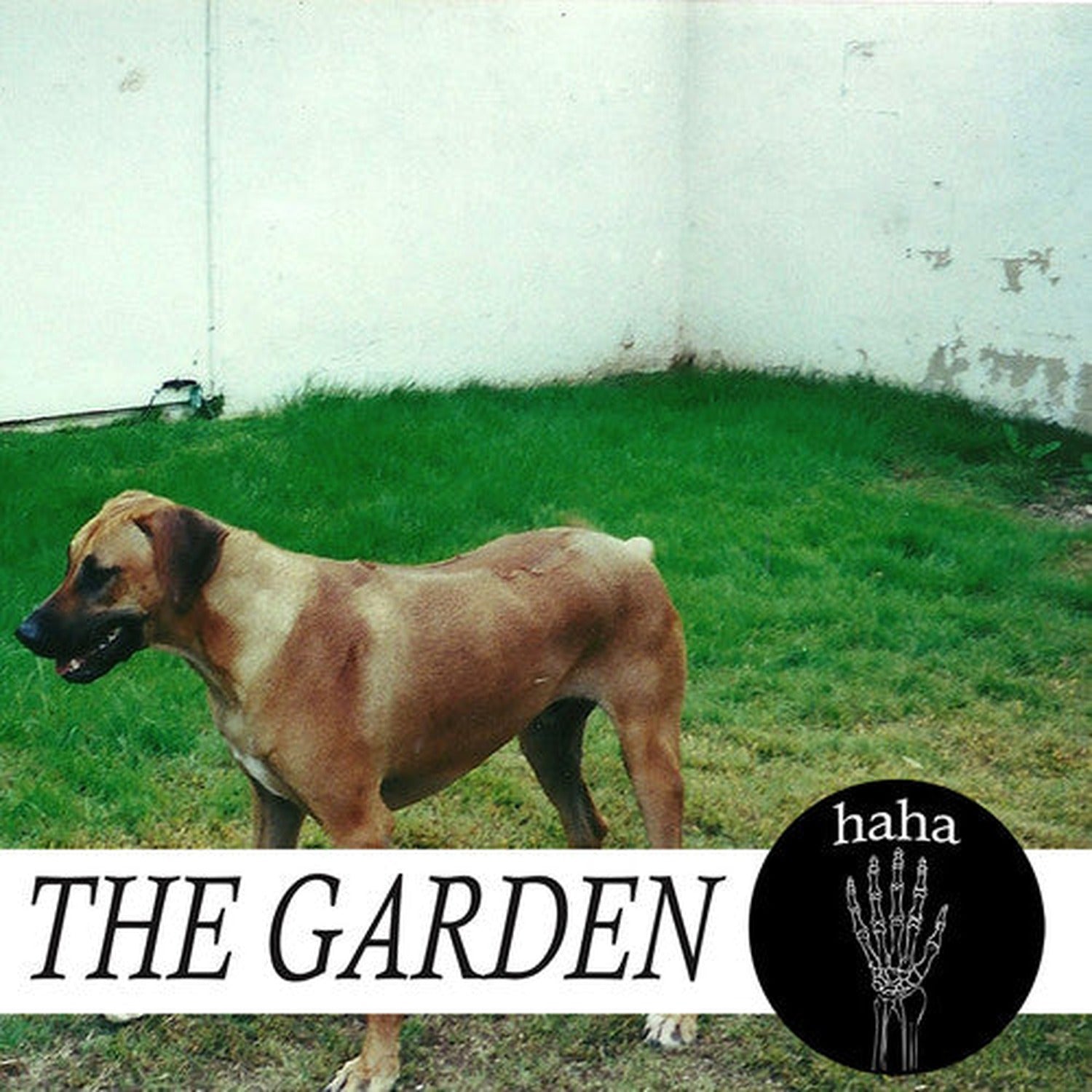 Garden - haha (CD)