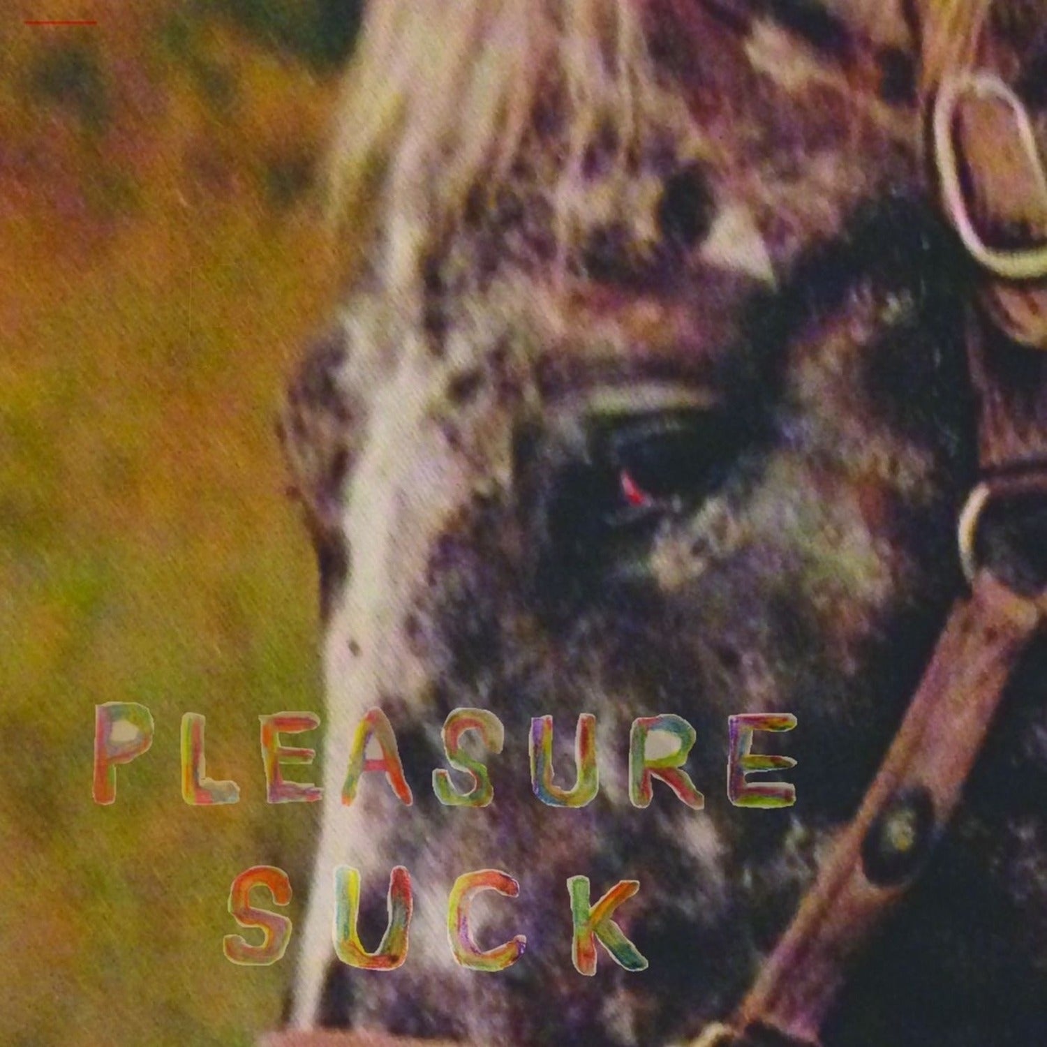 Spirit of the Beehive - Pleasure Suck (CD)