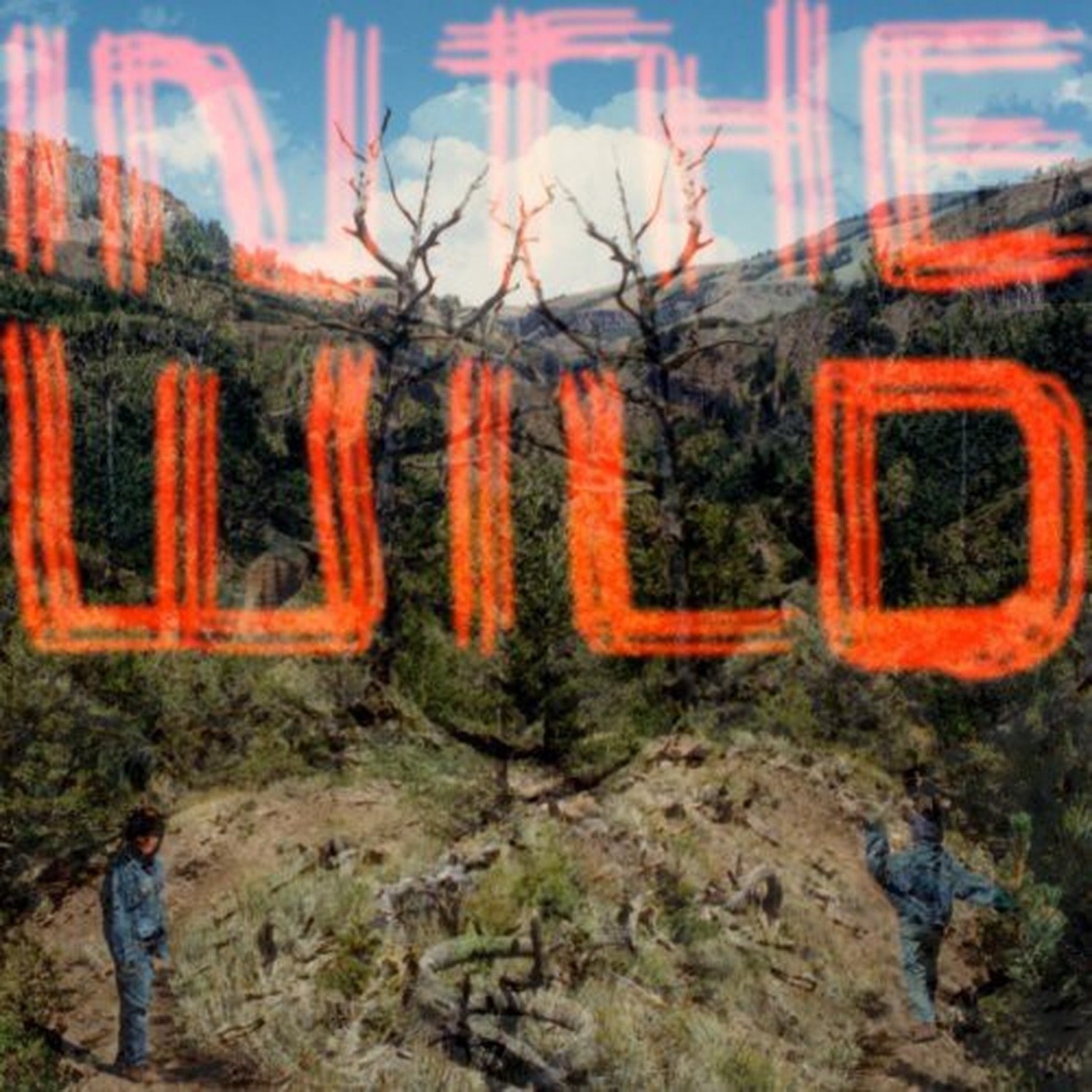 Falty Dl - In the Wild