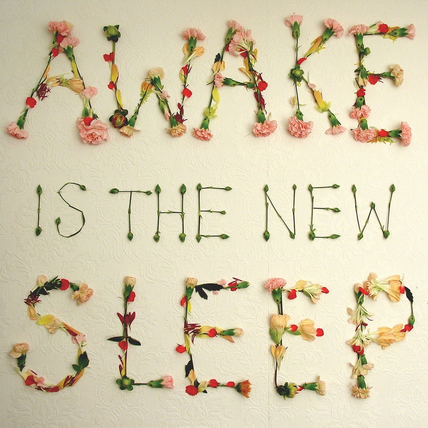 Ben Lee - Awake Is the New Sleep 2xLP