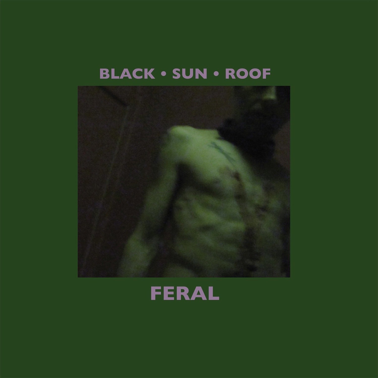 Black Sun Roof - Feral 2xLP