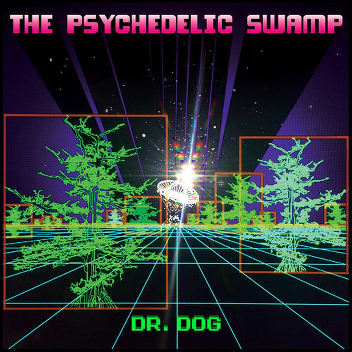 Dr Dog - The Psychedelic Swamp (CD)