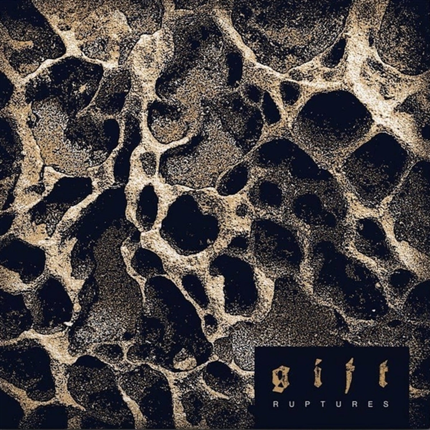 G I F T - Ruptures