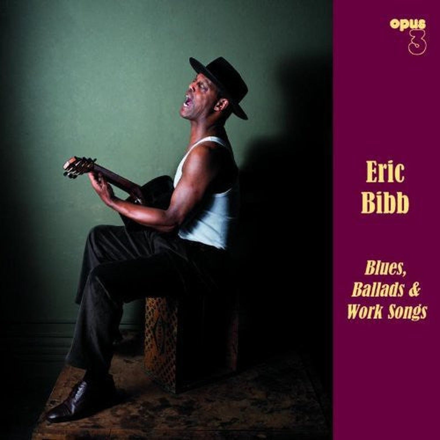 Eric Bibb - Blues, Ballads and Work Songs