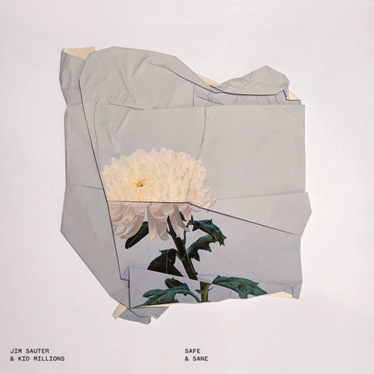 Kid Millions / Jim Sauter - Safe & Sane