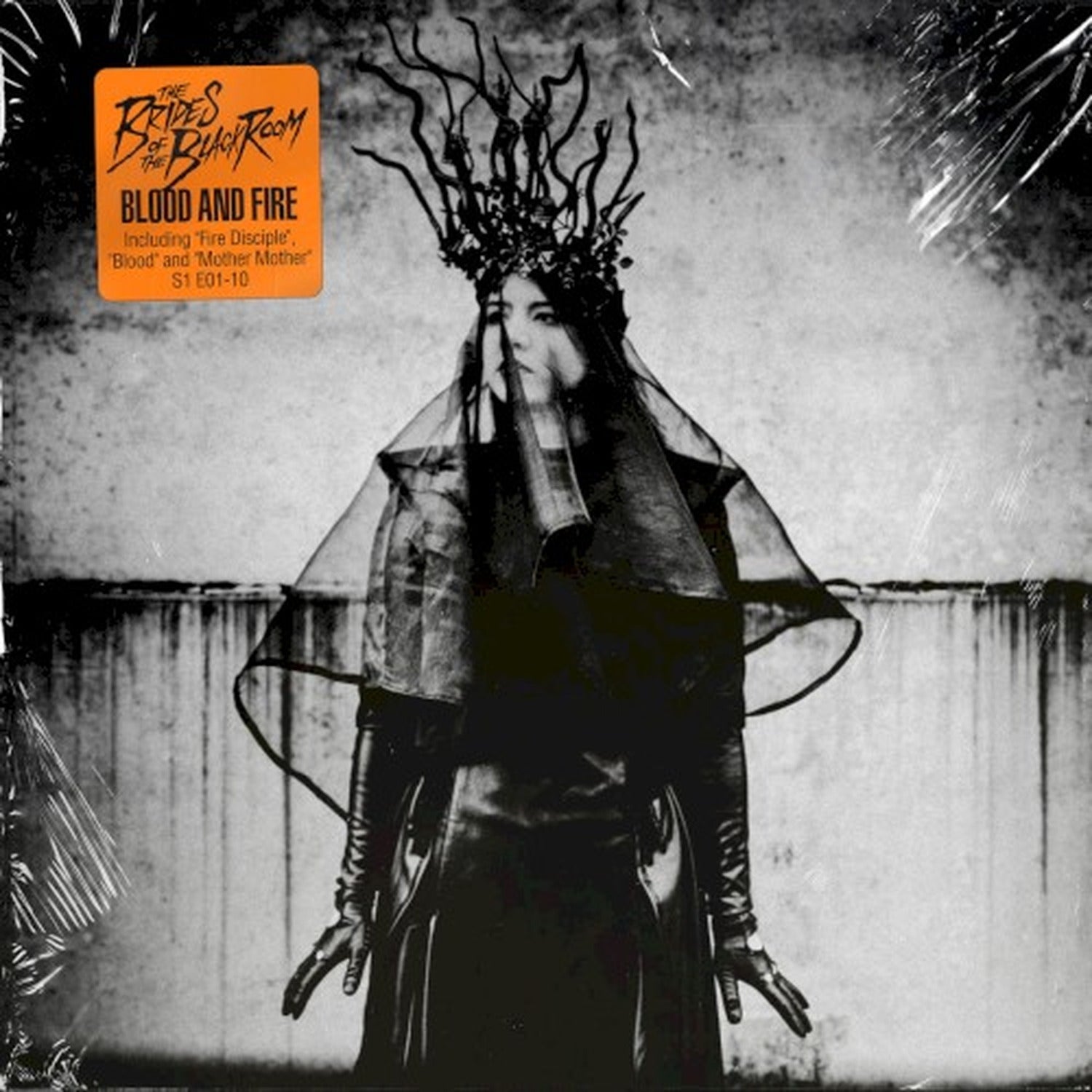 Brides of the Black Room - Blood And Fire