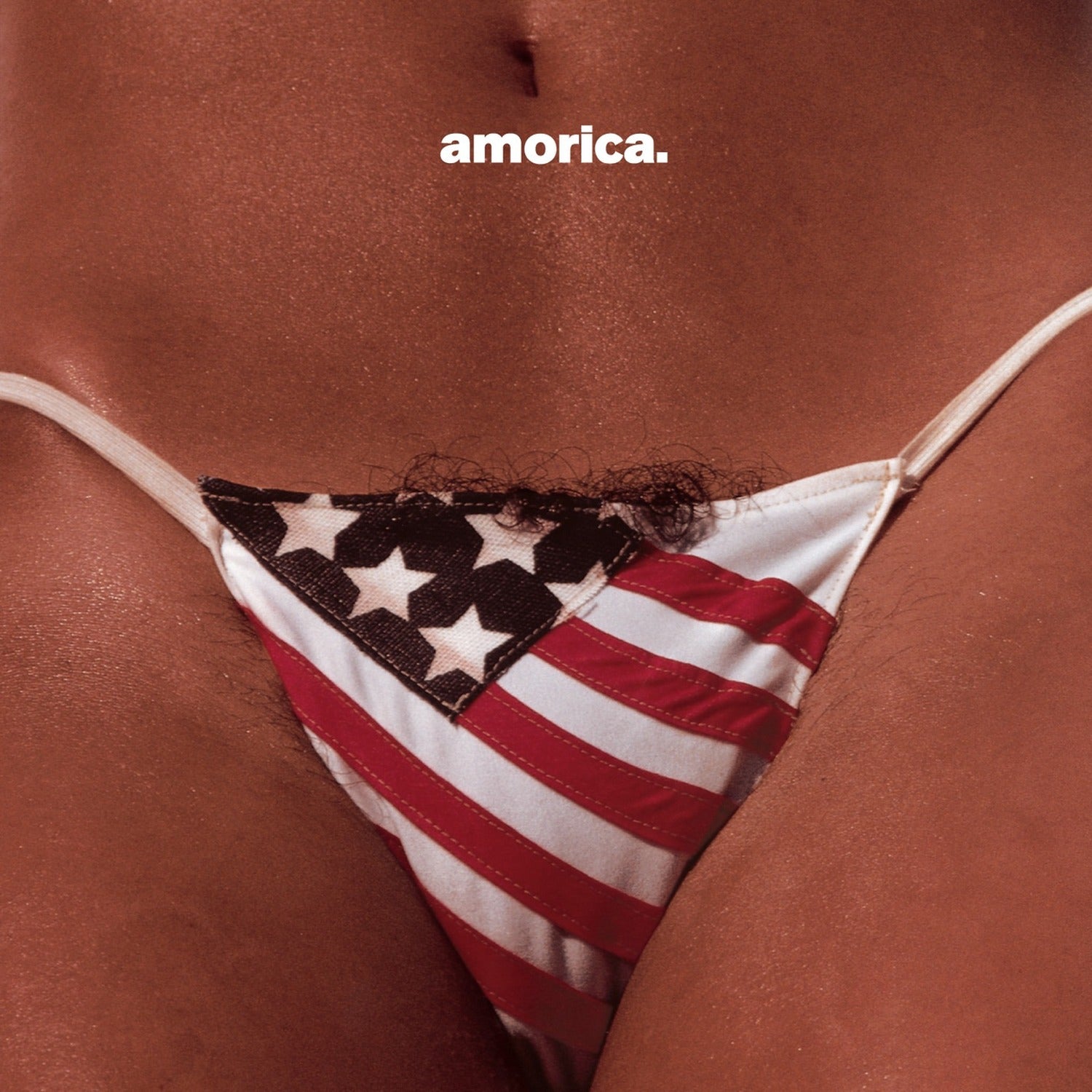 Black Crowes - Amorica. (CD)