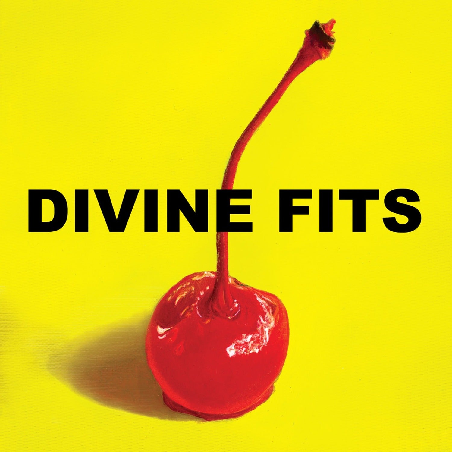 Divine Fits - A Thing Called Divine Fits (CD)