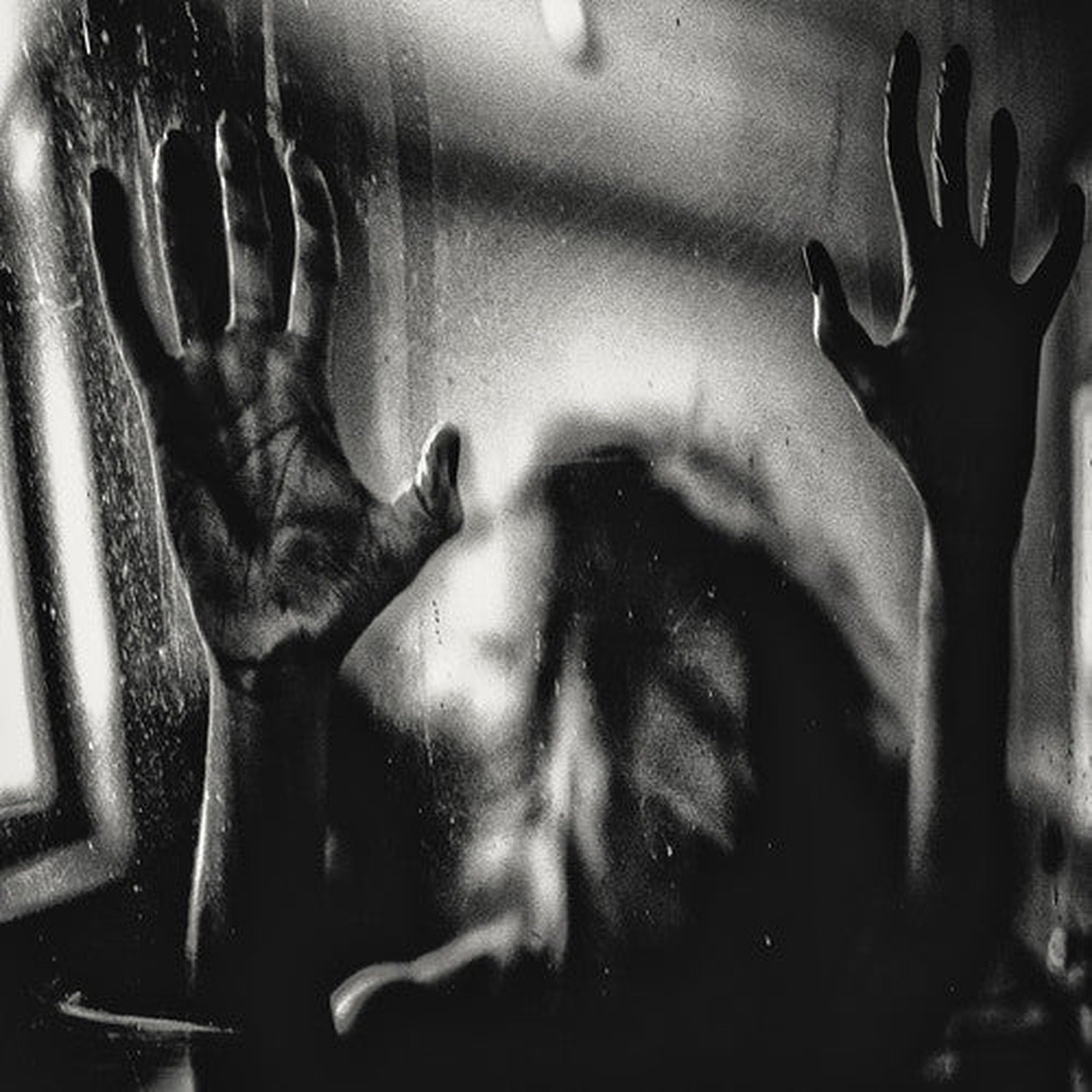 Behind the Shadow Drops - Harmonic (CD)