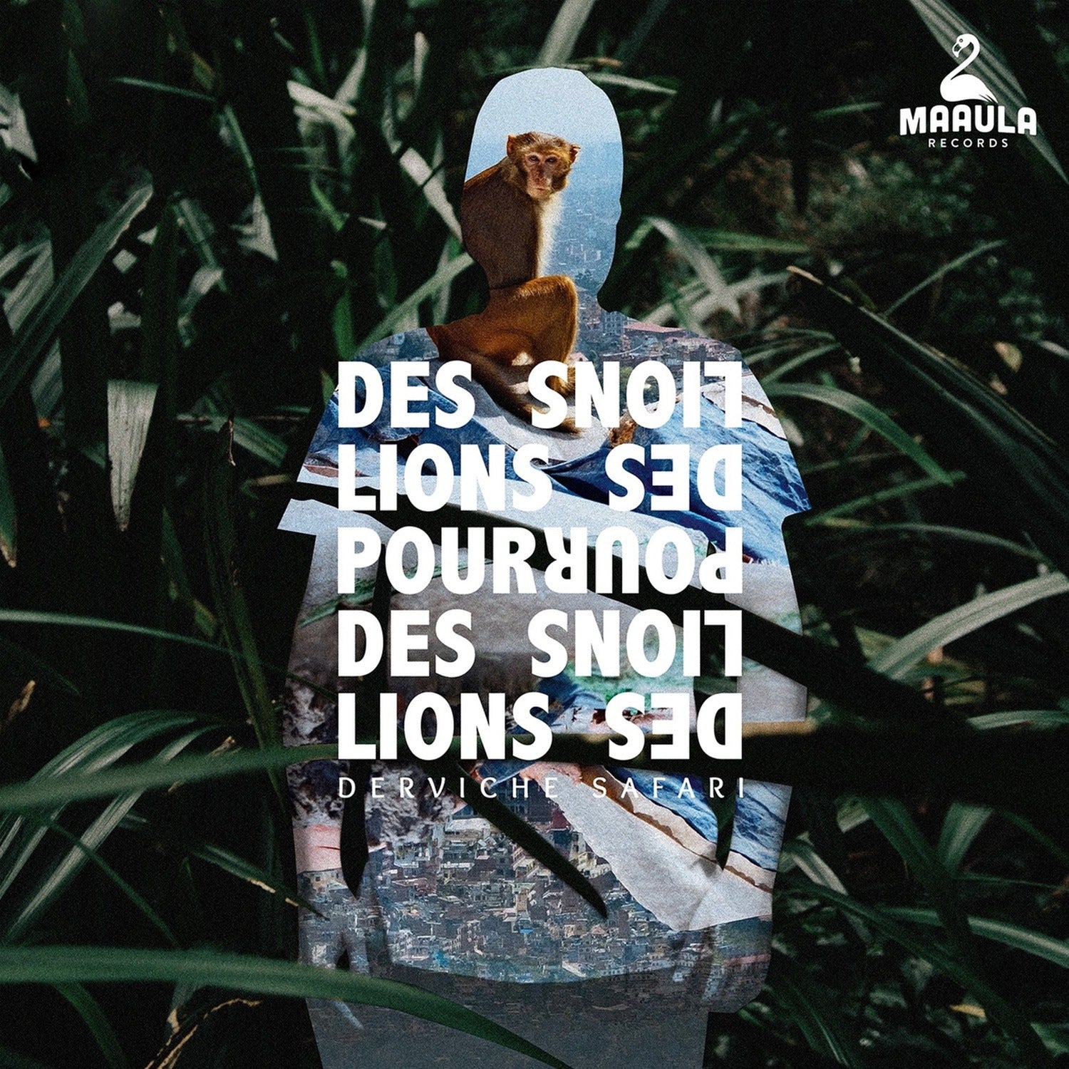 Des Lions Pour Des Lions - Derviche safari