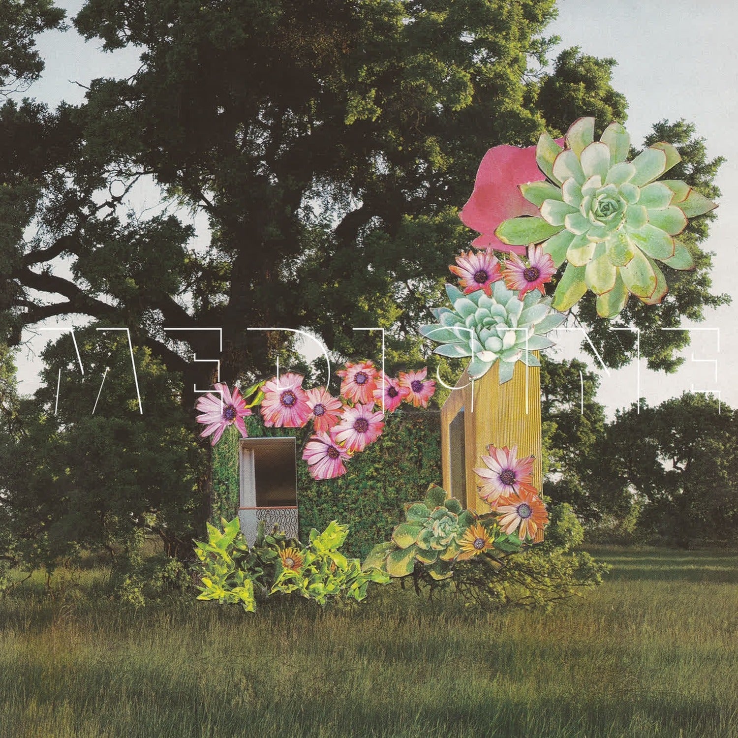 Medicine - Home Everywhere (CD)
