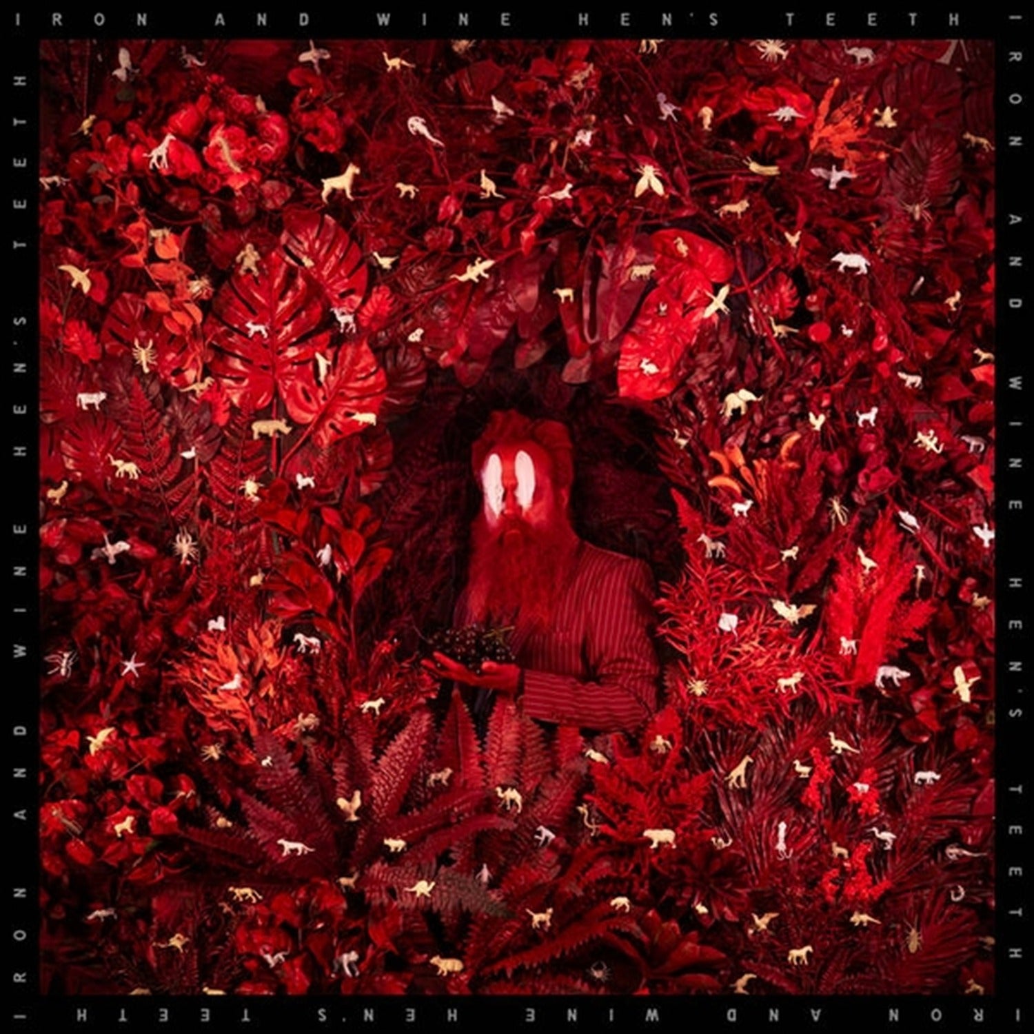 Iron & Wine - Hen's Teeth (White Vinyl)