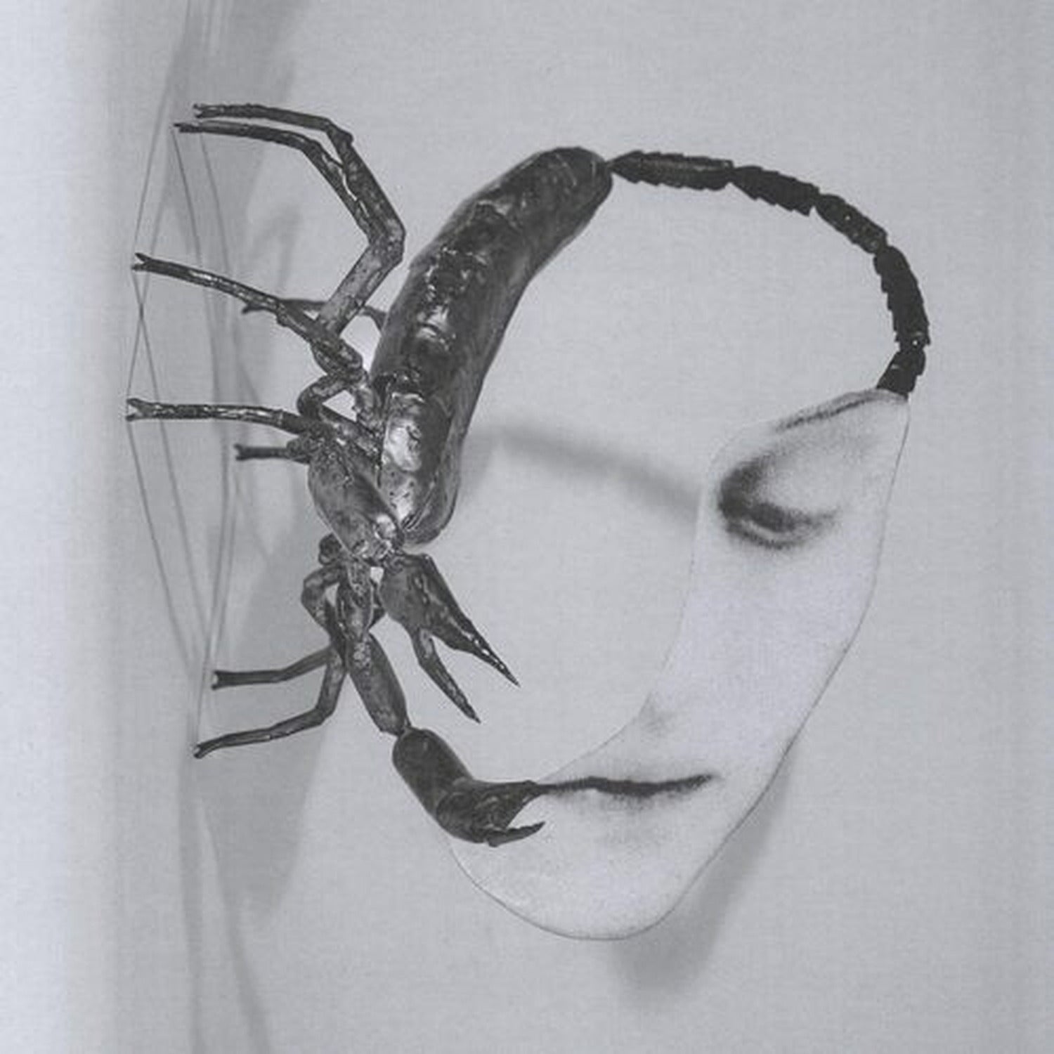 Tortoise - Touch