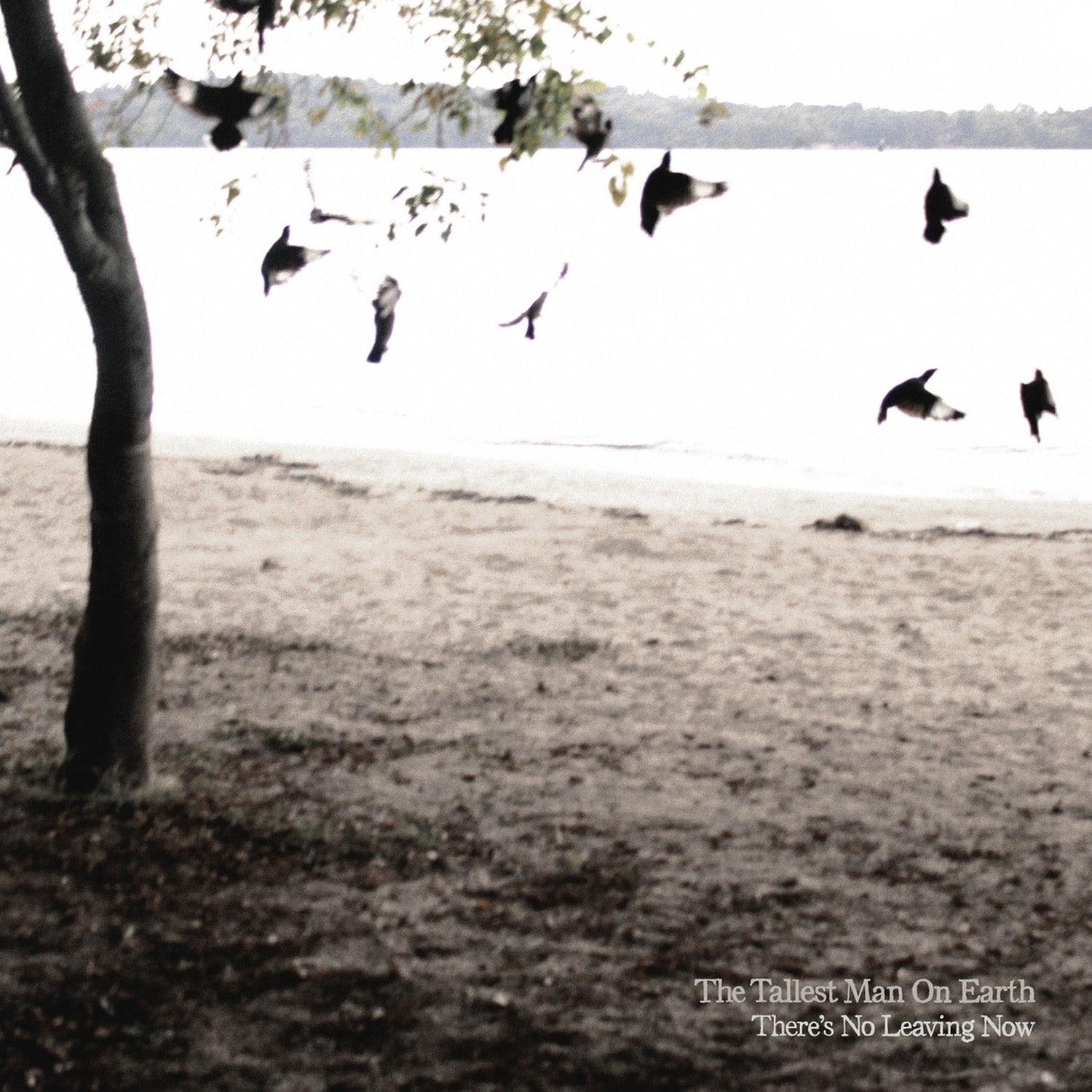 Tallest Man on Earth - There's No Leaving Now (CD)