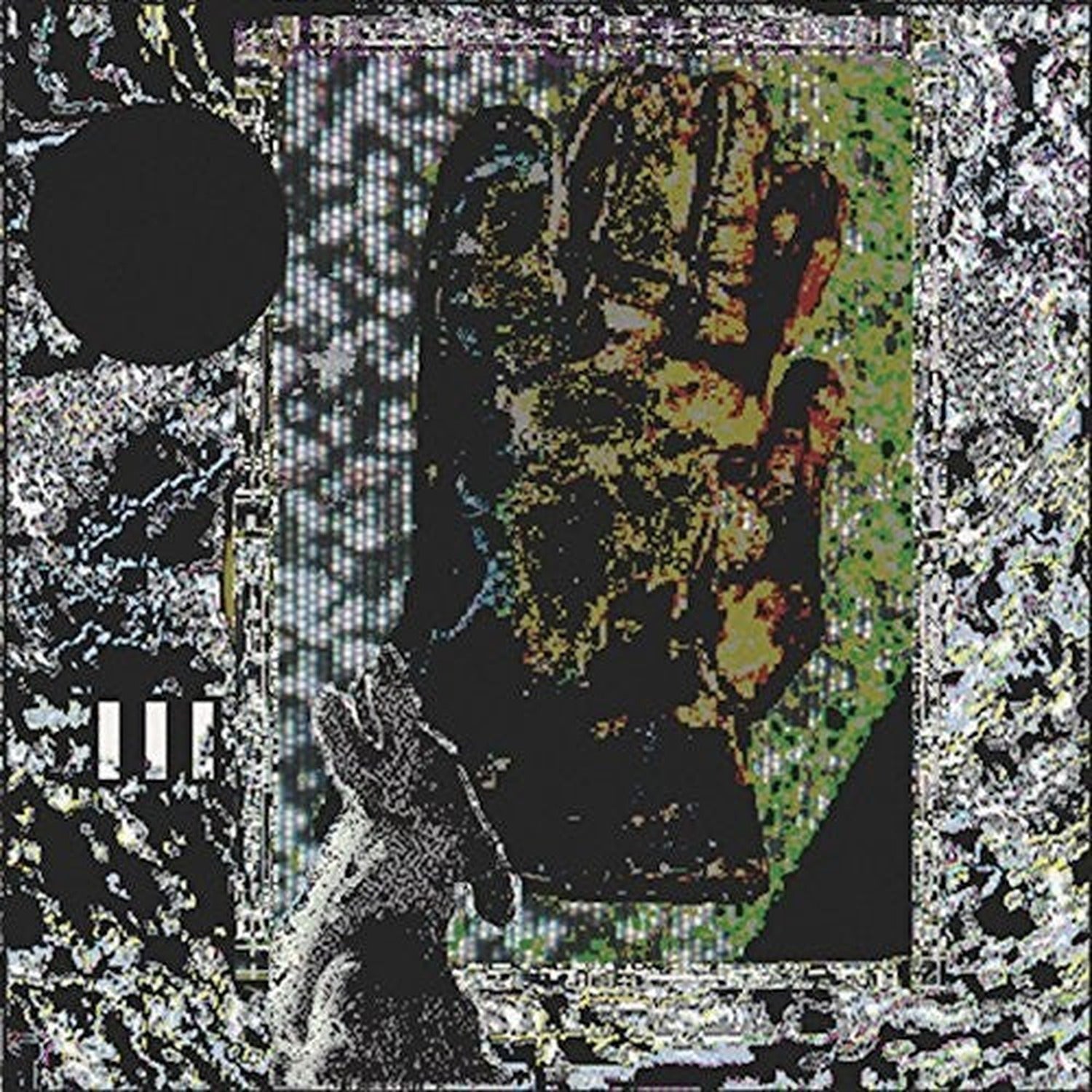 Dog - Trash Temple