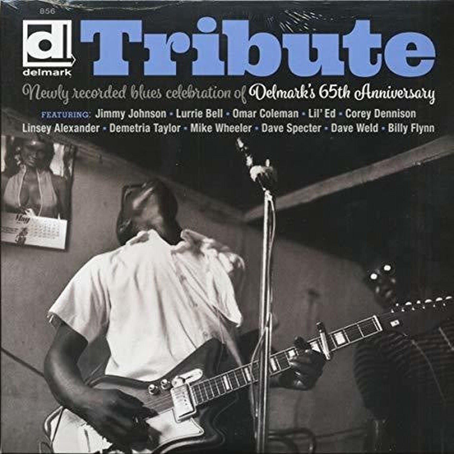 Various Artists - Tribute Delmark's 65th Anniversary