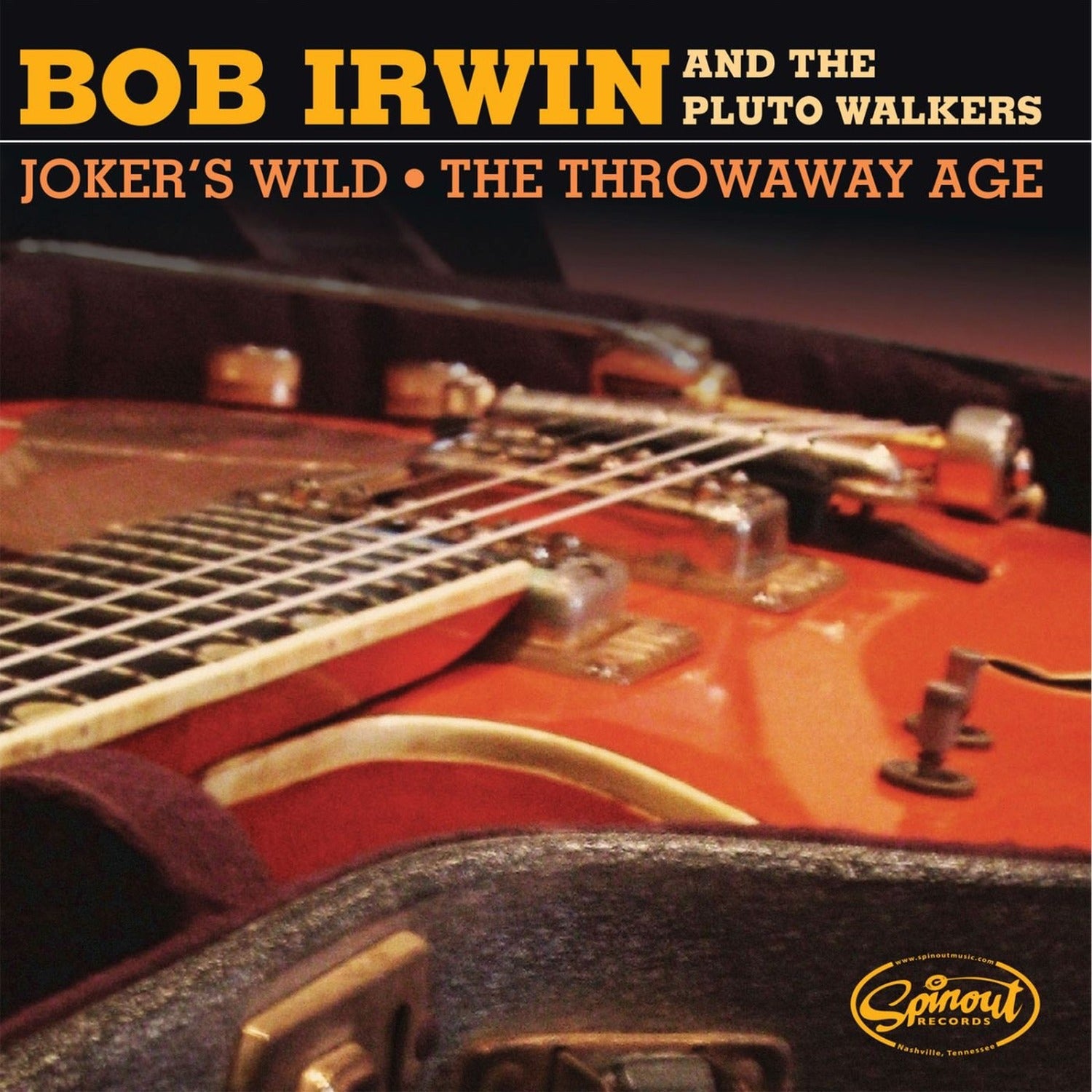 Bob Irwin & the Pluto Walkers - The Throwaway Age