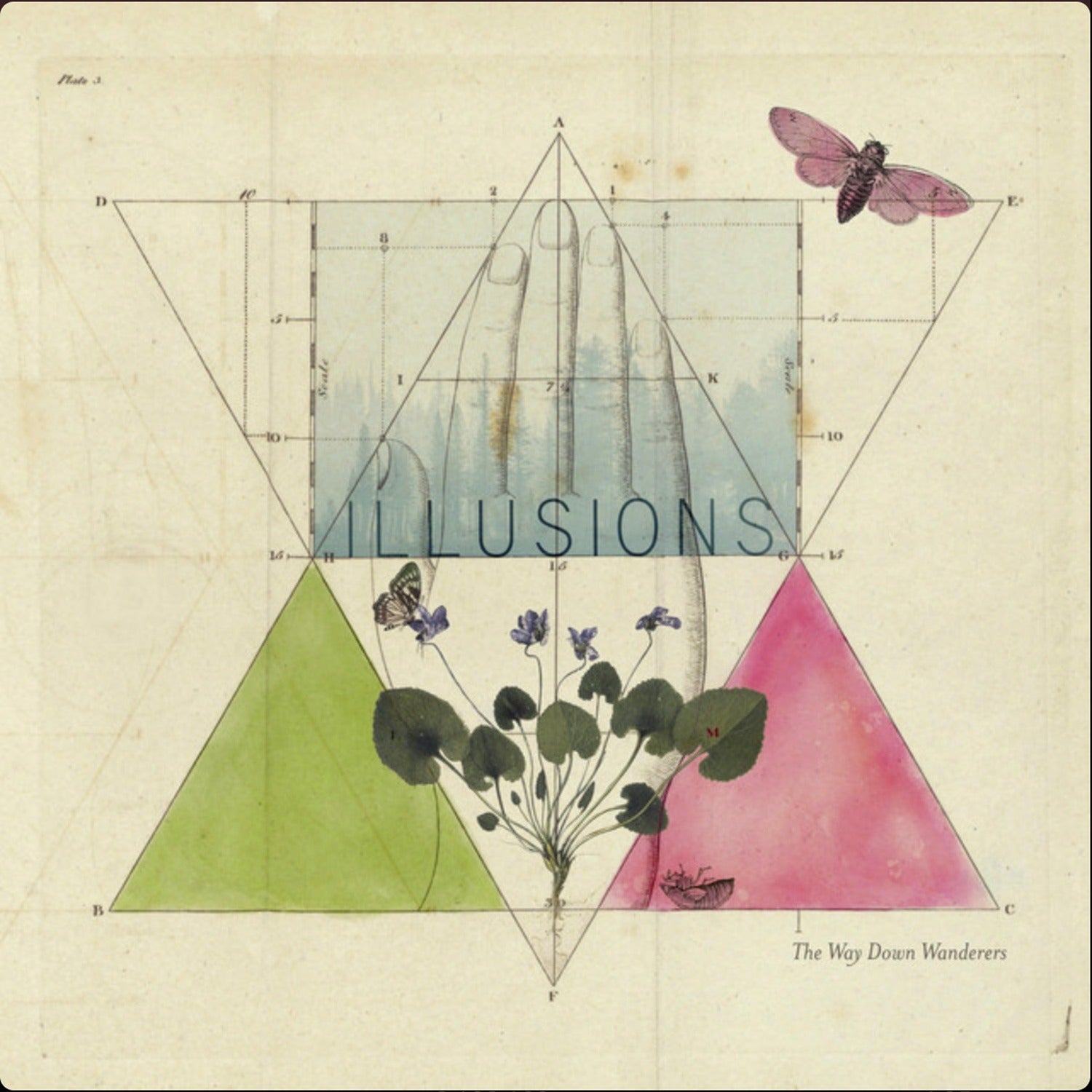 Way Down Wanderers - Illusions