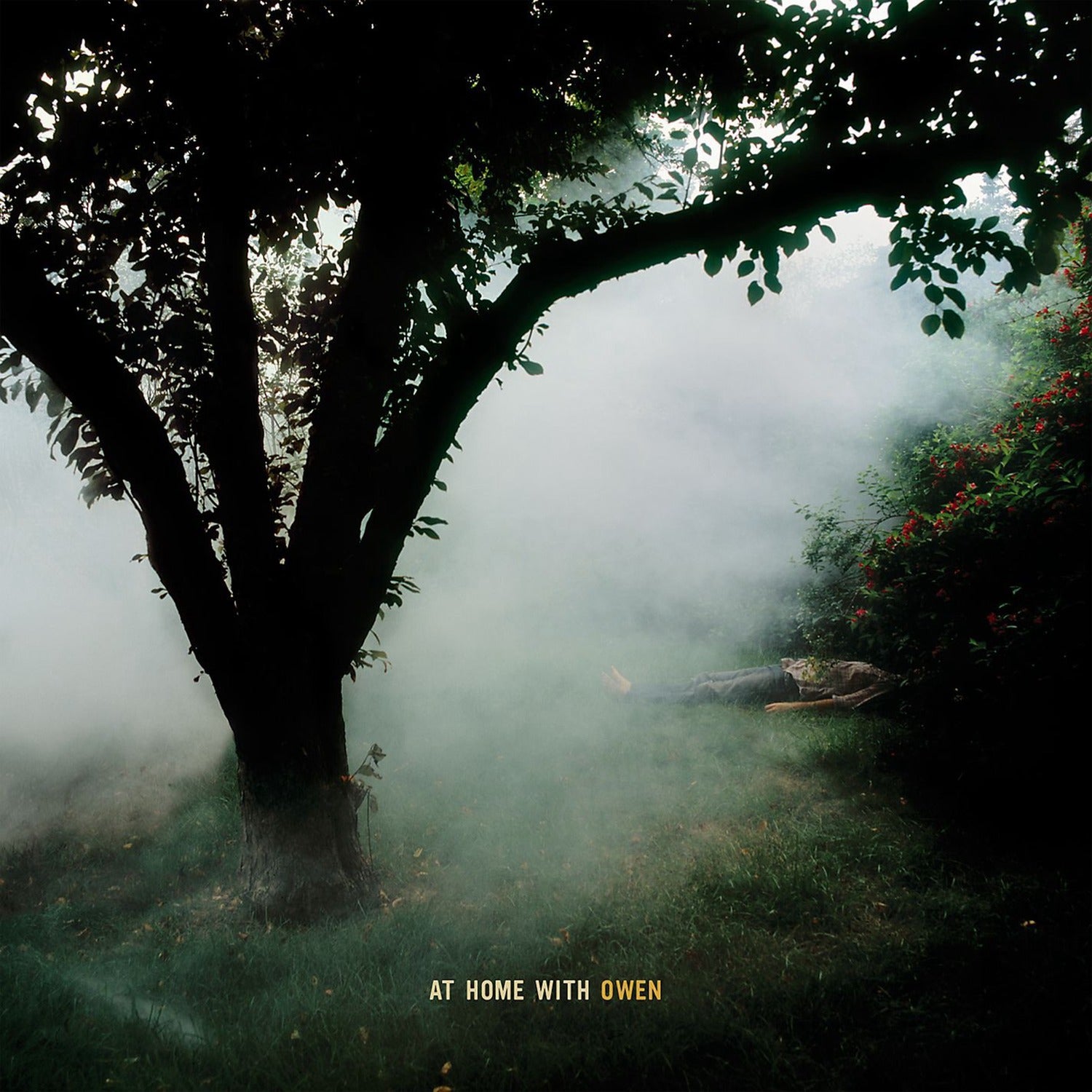 Owen - At Home with Owen (CD)