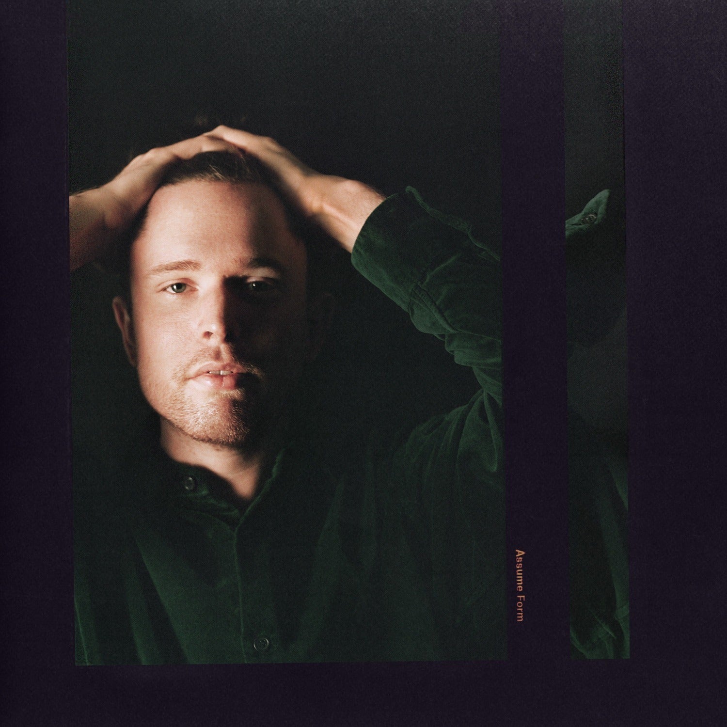 James Blake - Assume Form 2xLP
