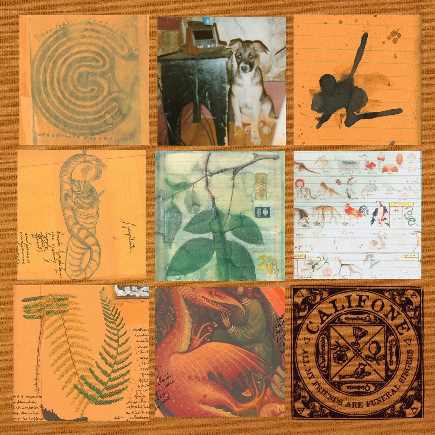 Califone - All My Friends Are Funeral Singers 2xLP