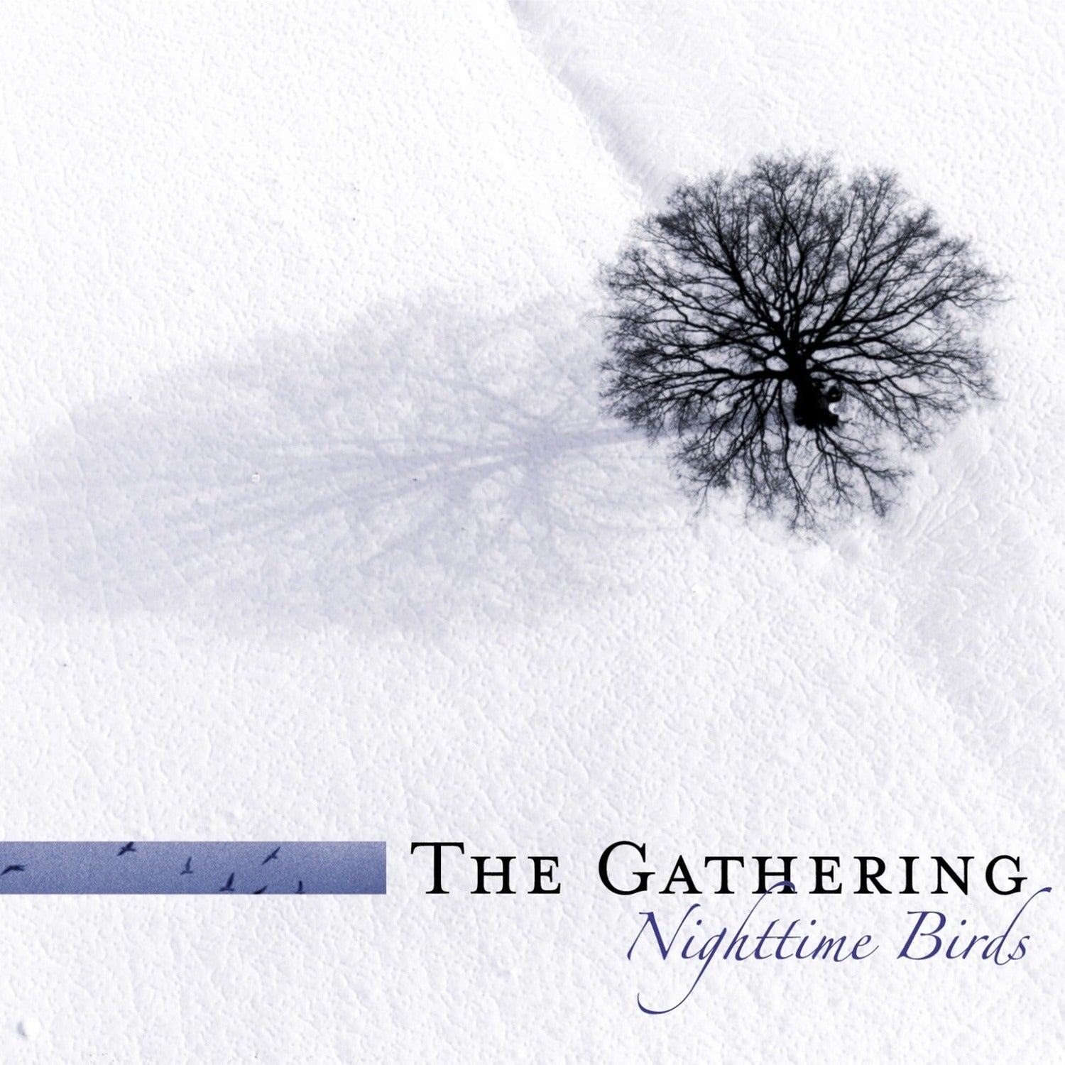 Gathering - Nighttime Birds
