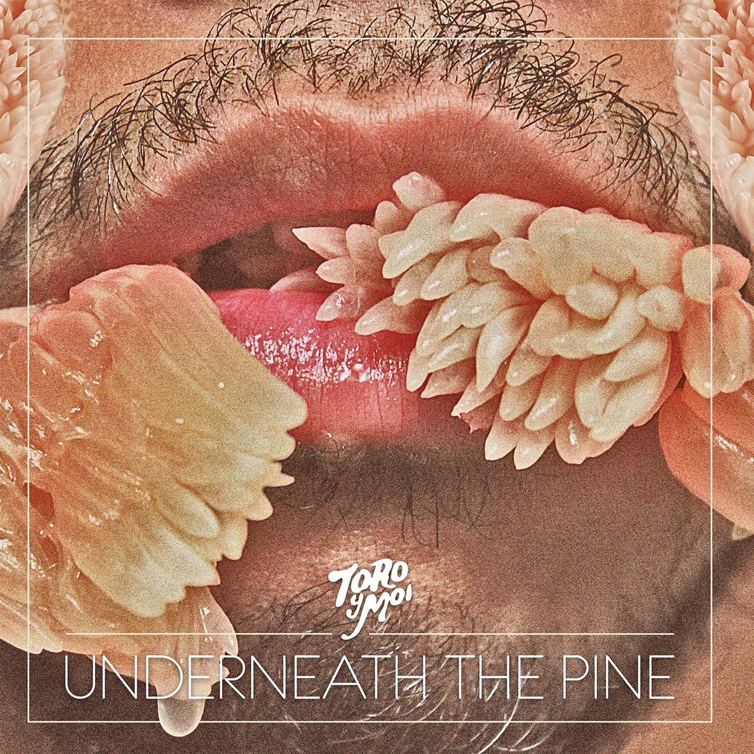 Toro y Moi - Underneath the Pine (CD)