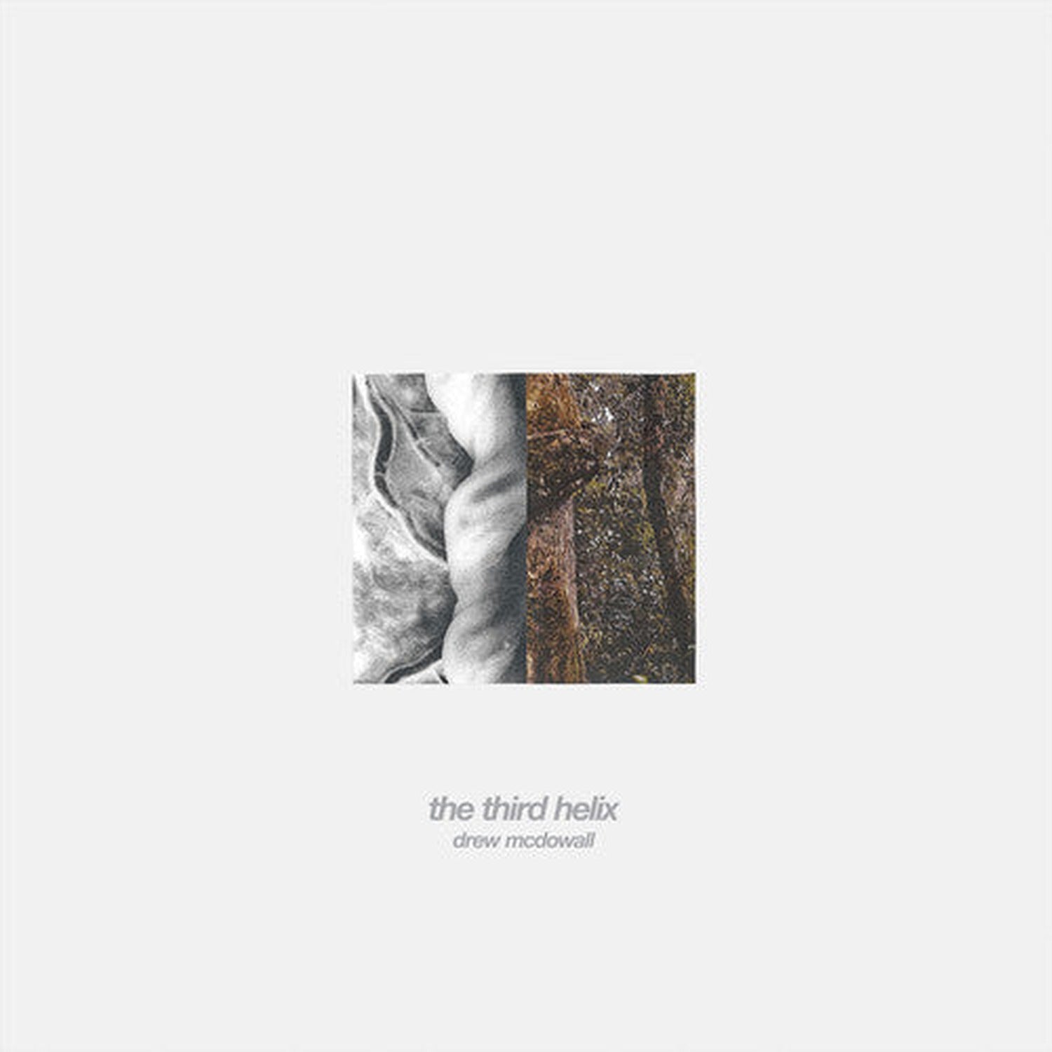 Drew McDowell - Third Helix (amber)