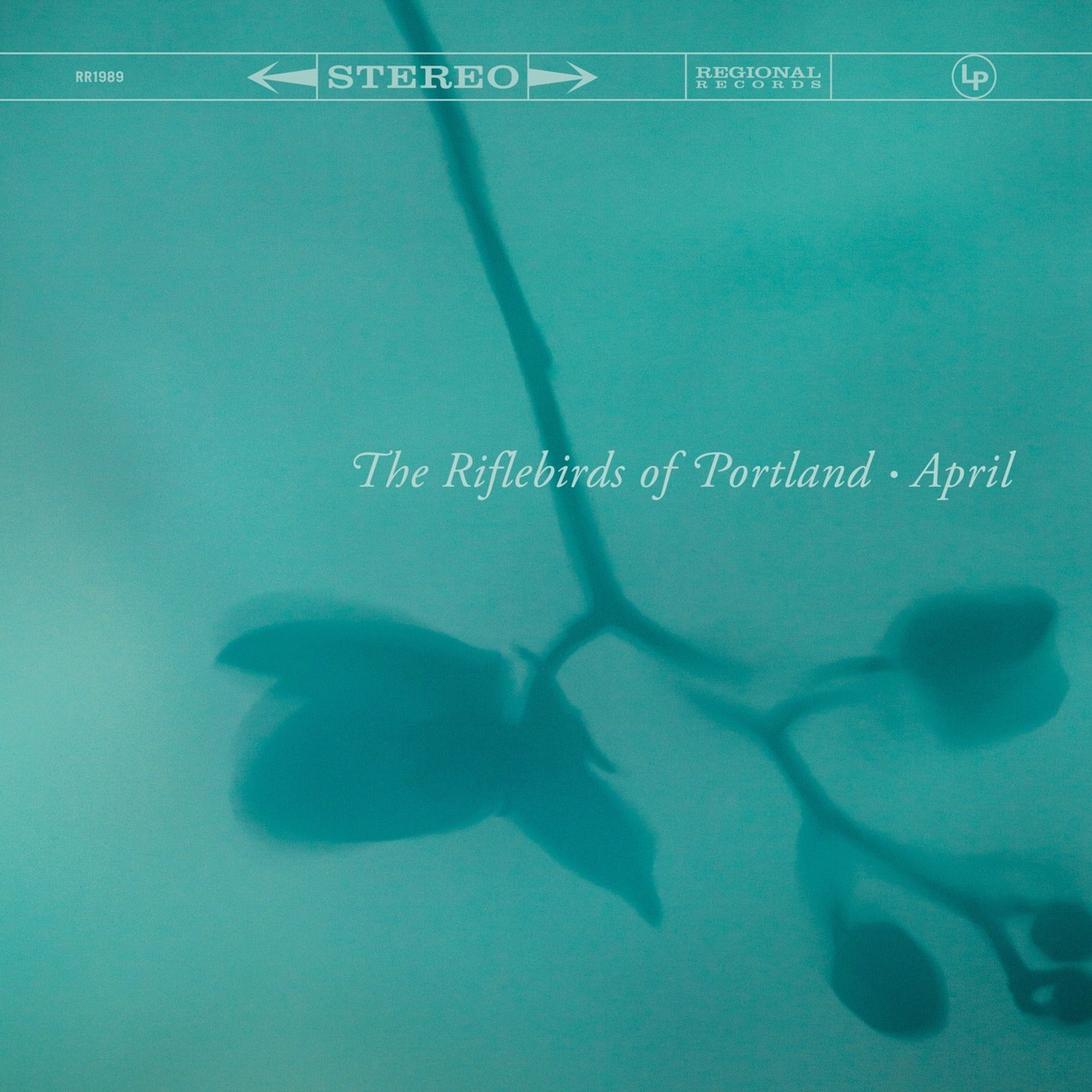Riflebirds of Portland - April