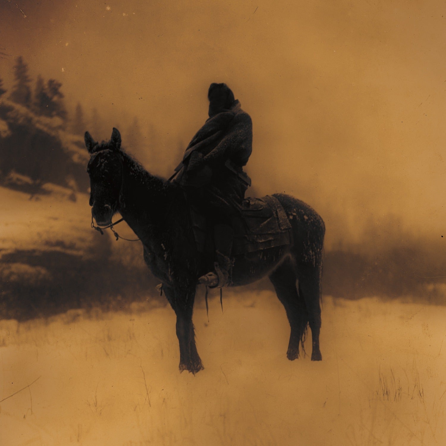 Wayfarer - World's Blood