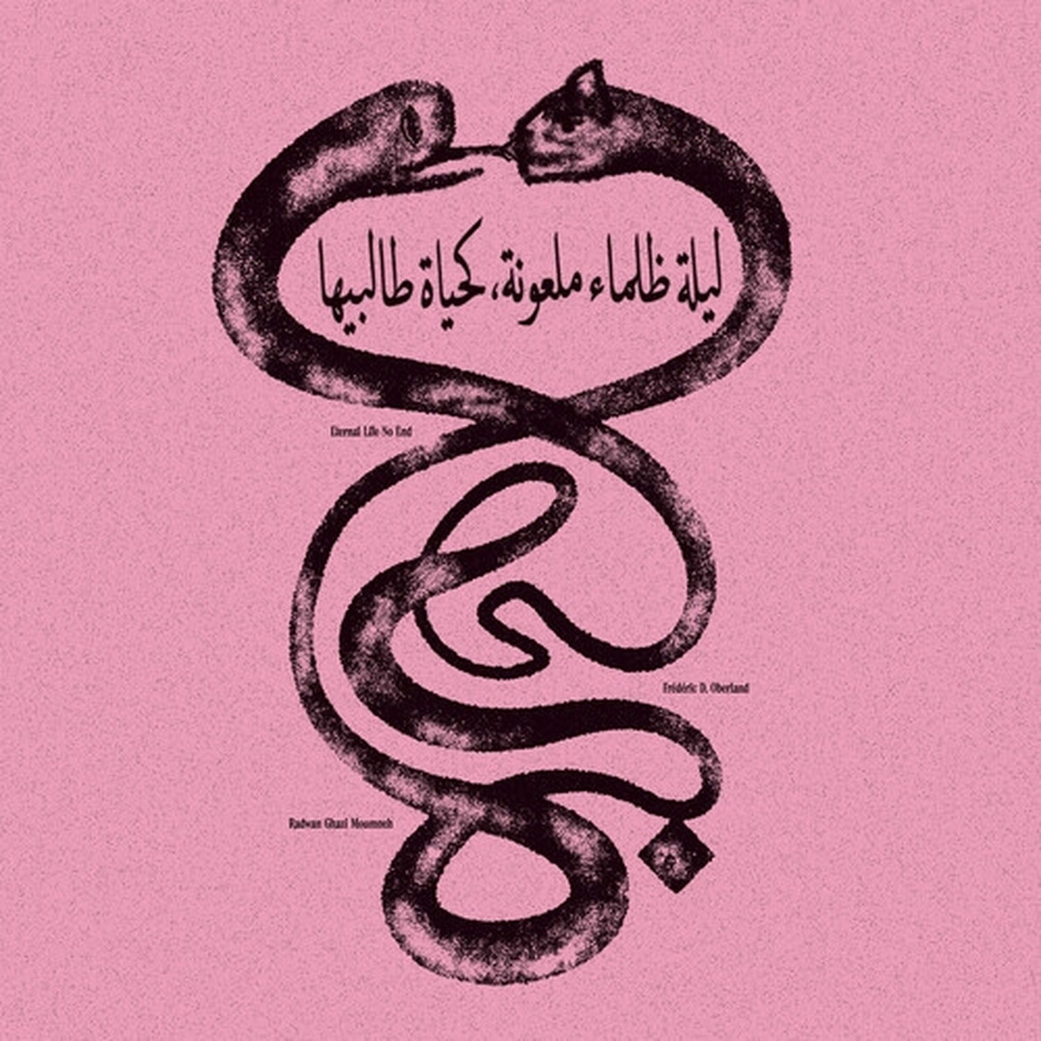 Radwan Ghazi Moumneh / Federic D. Oberland - Eternal Life No End