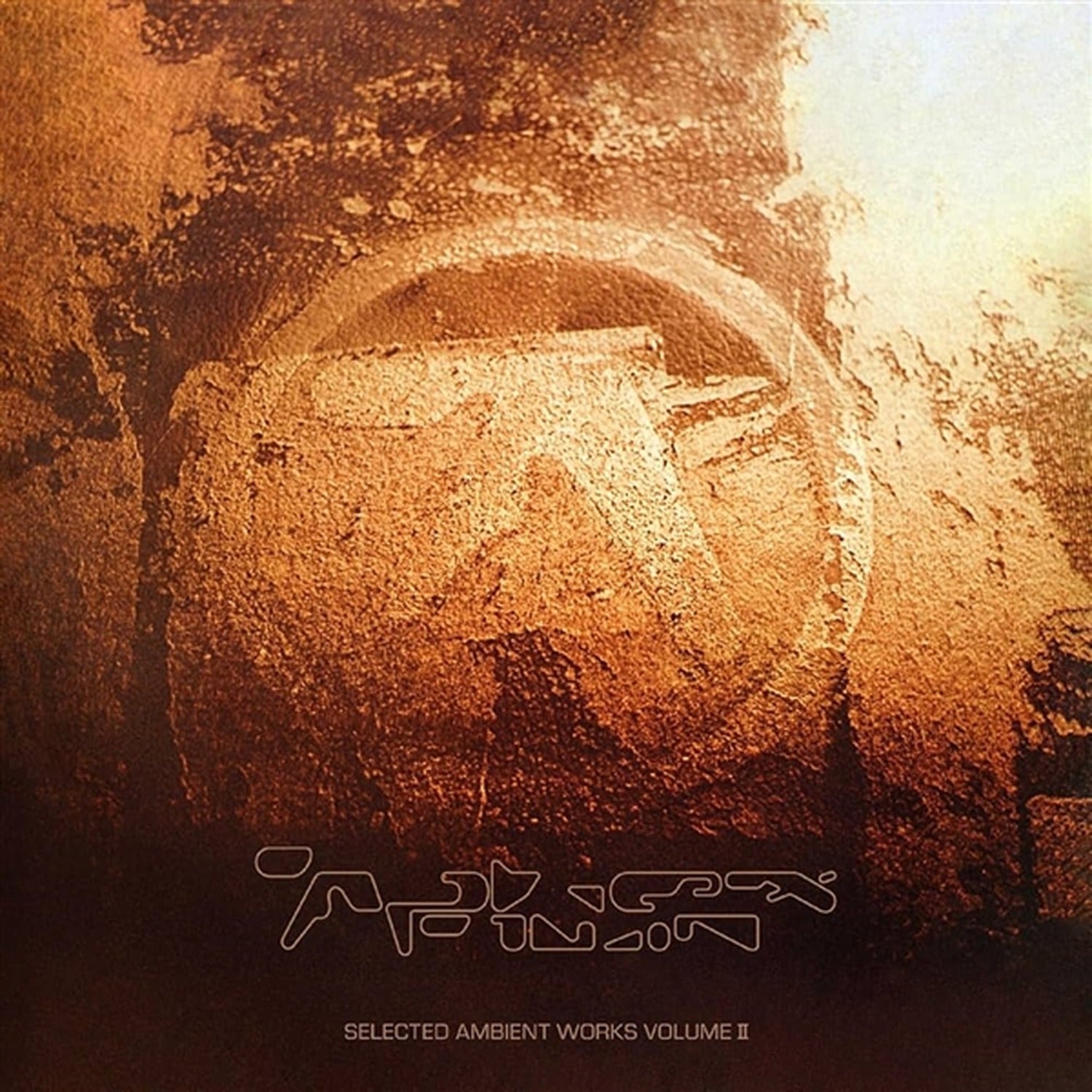 Aphex Twin - Selected Ambient Works Volume II 4xLP (Expanded)