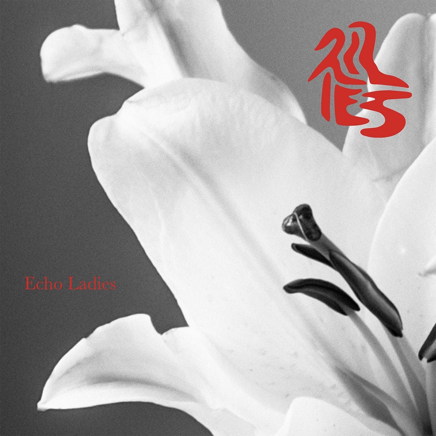 Echo Ladies - Lilies (White Vinyl)
