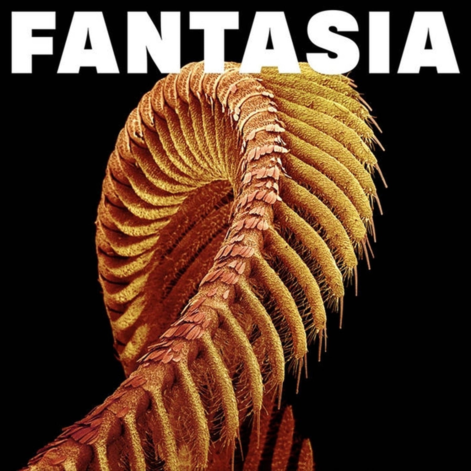 Slift - Fantasia 2xLP (Yellow Vinyl)