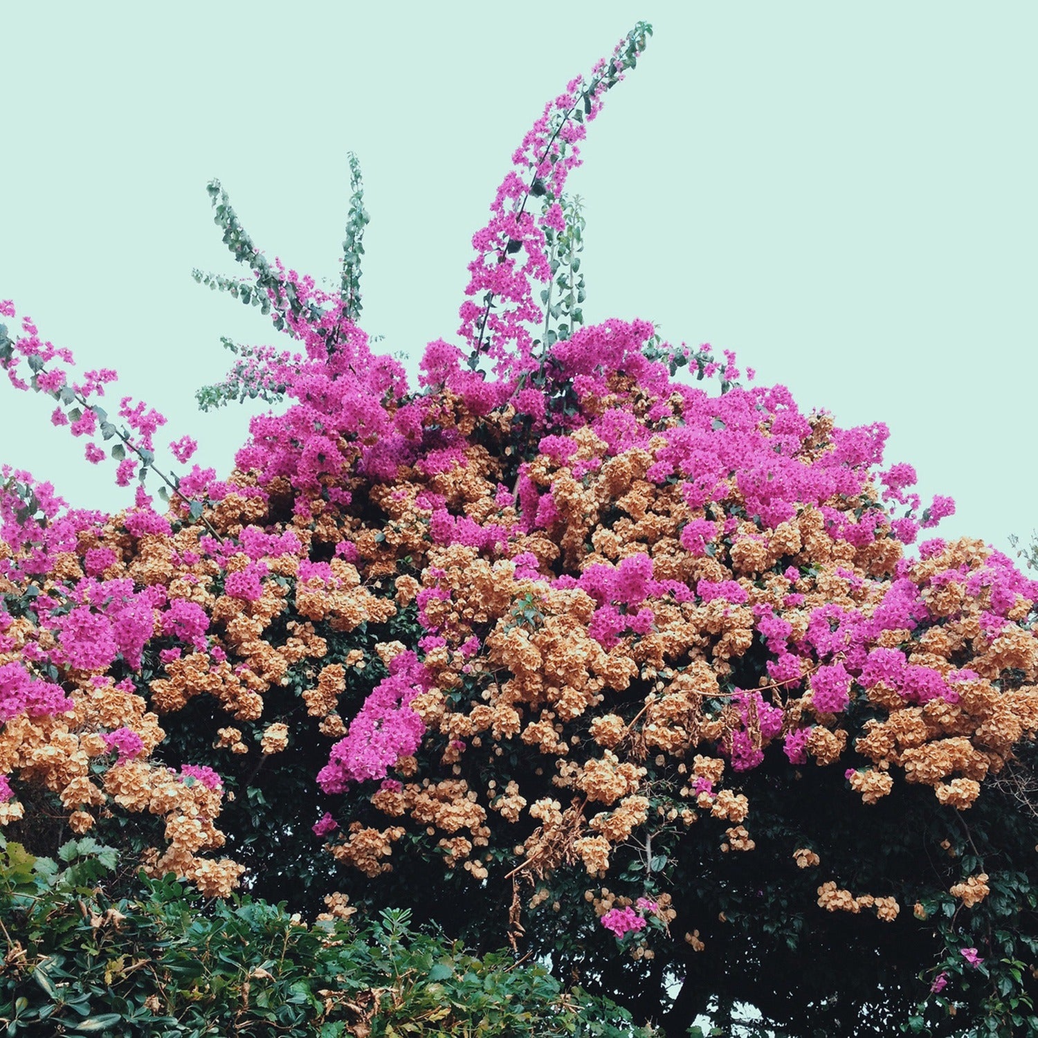 Jay Som - Turn Into (CD)