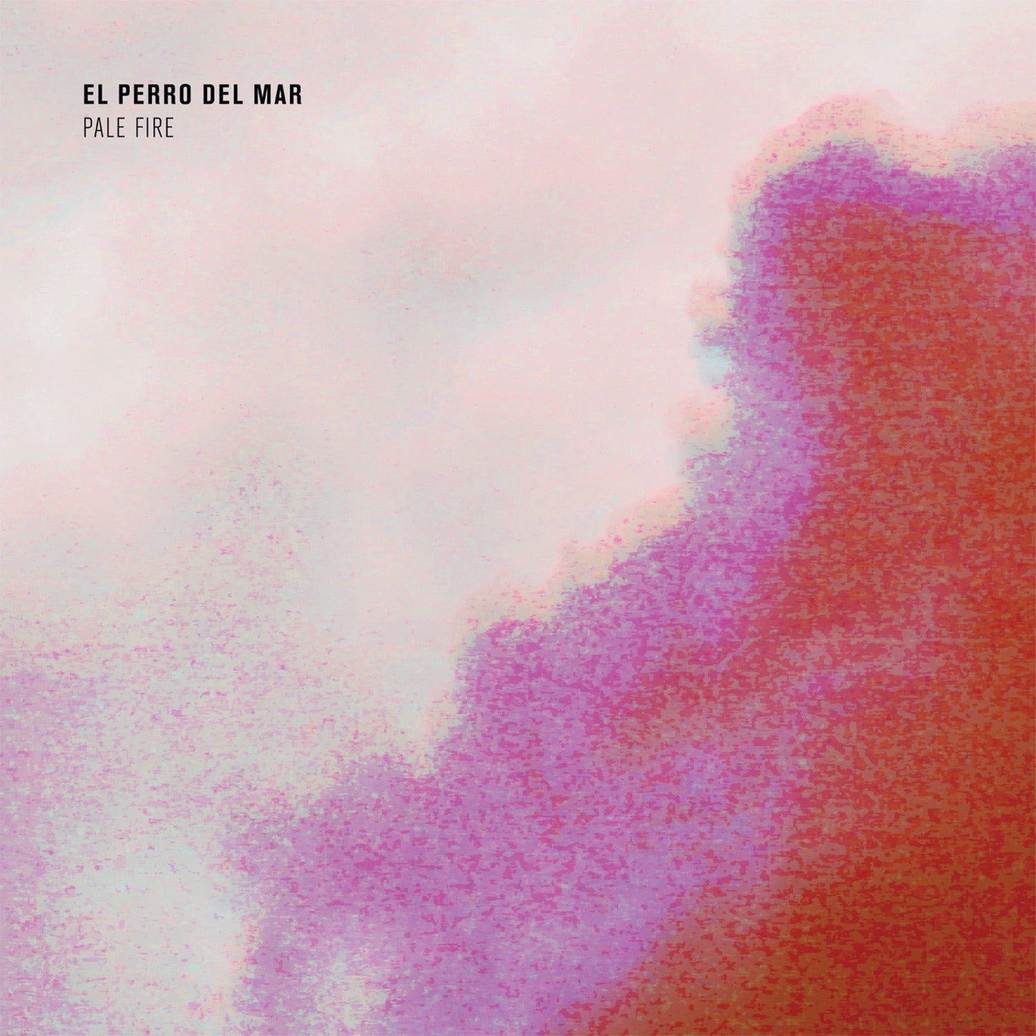 El Perro del Mar - Pale Fire (CD)