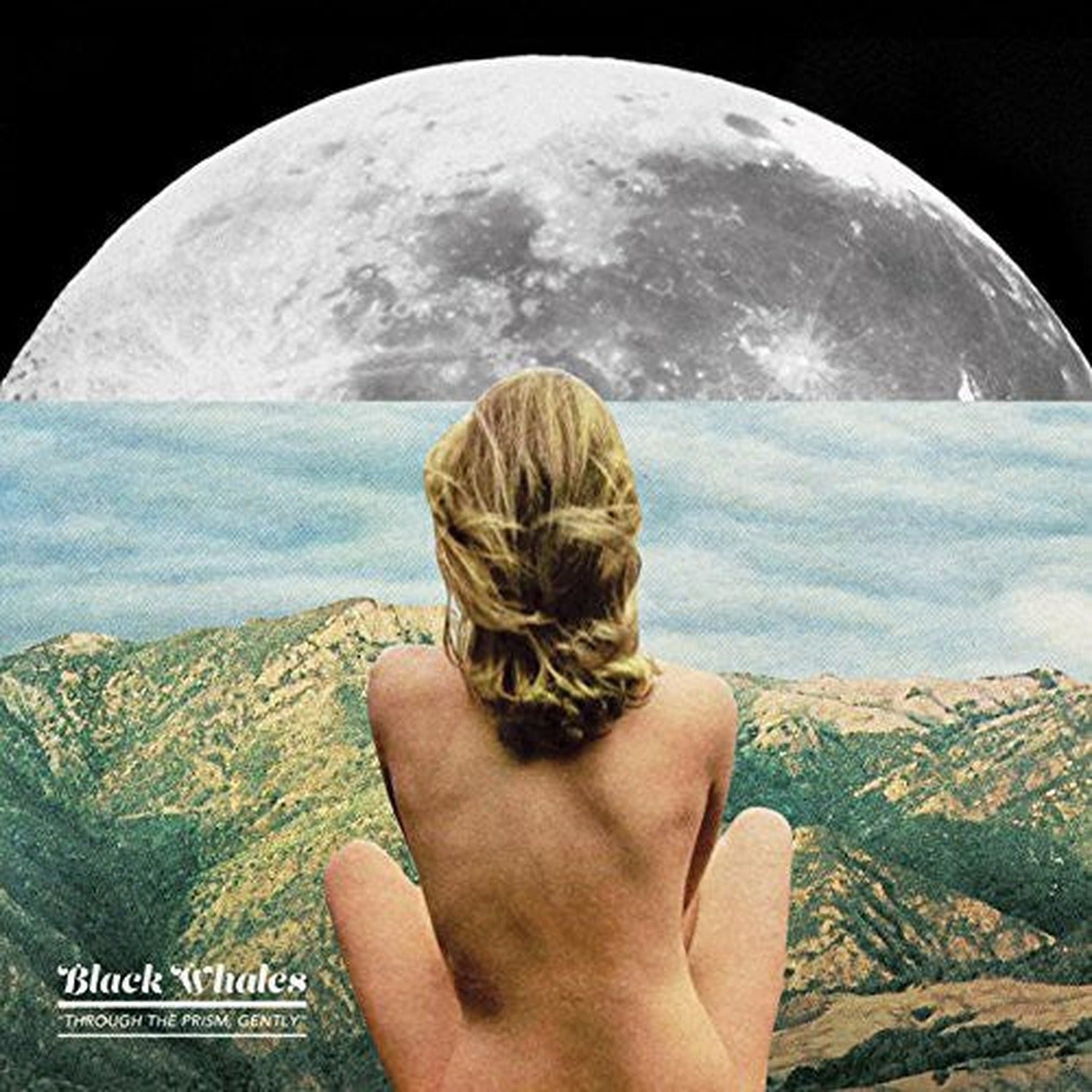 Black Whales - Through the Prism Gently (CD)