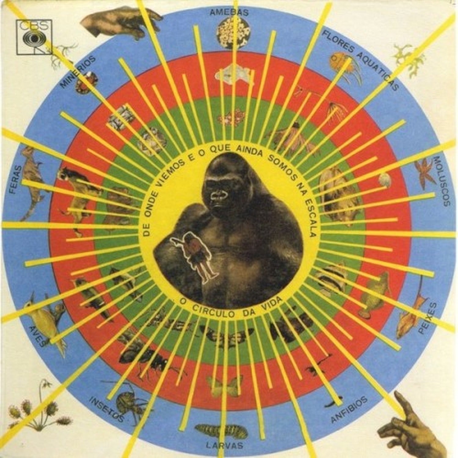 Pedro Santos - Krishnanda