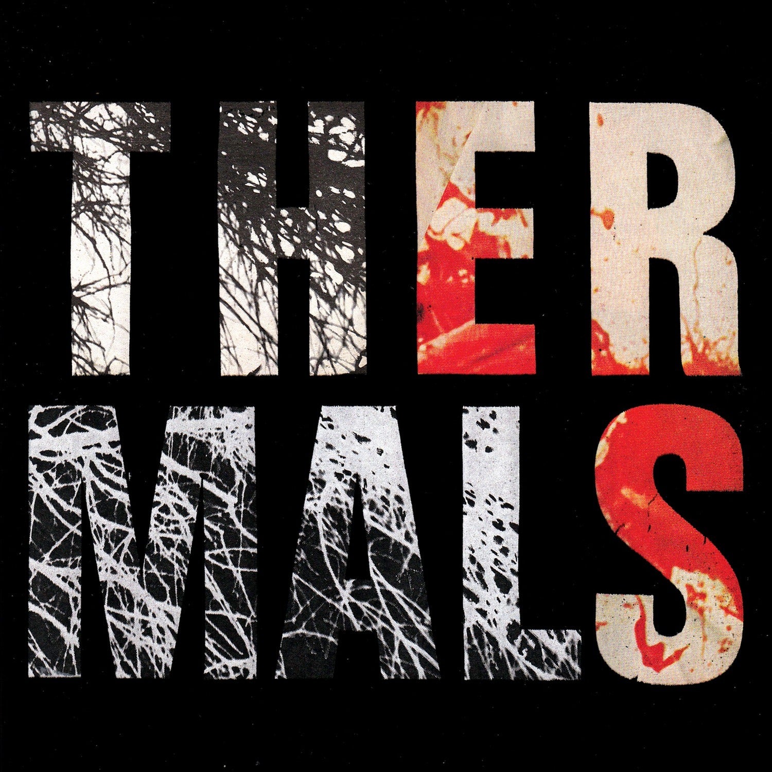 Thermals - Desperate Ground