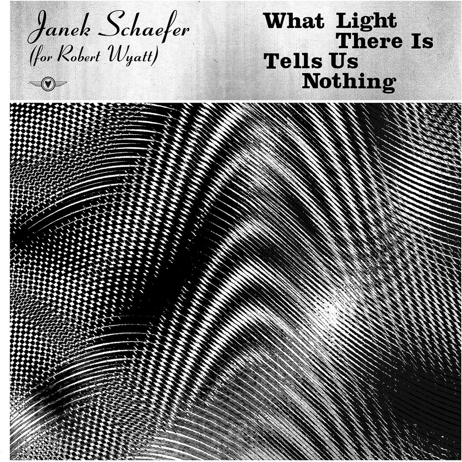Janek Schaefer - What Light There Is Tells Us Nothing