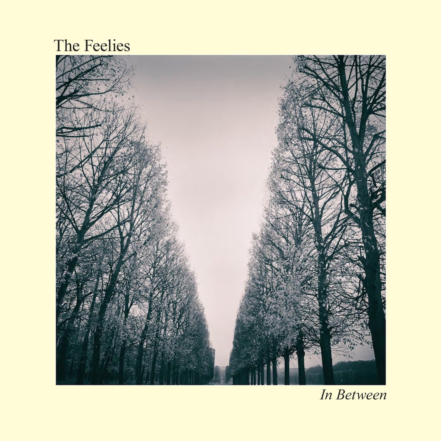 Feelies - In Between (CD)